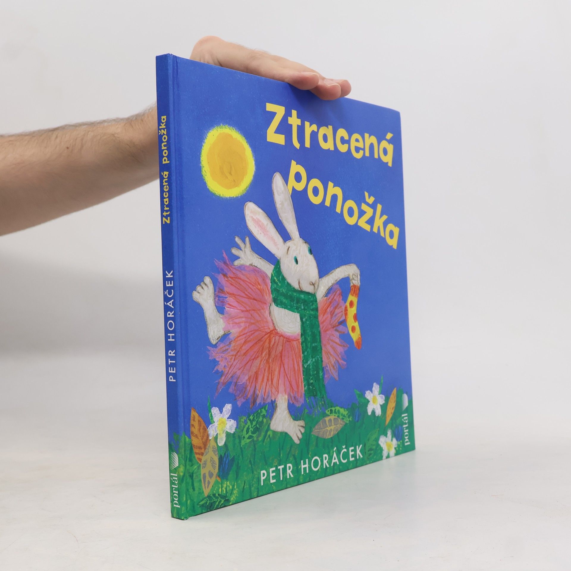 Horacek Petr Ztracená ponožka