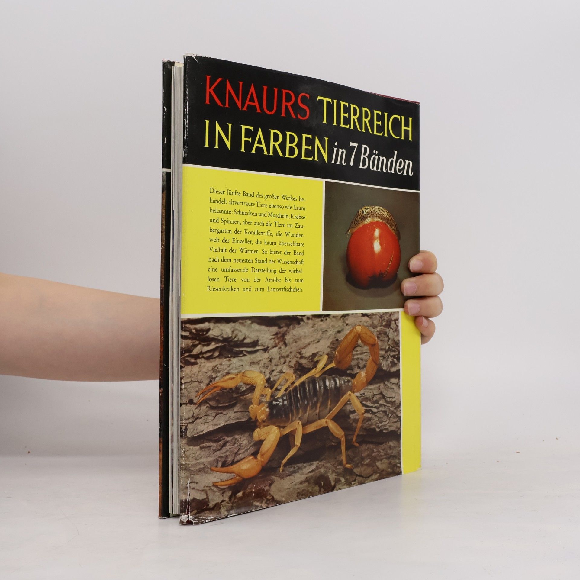 Various authors Knaurs Tierreich in Farben - Niedere Tiere