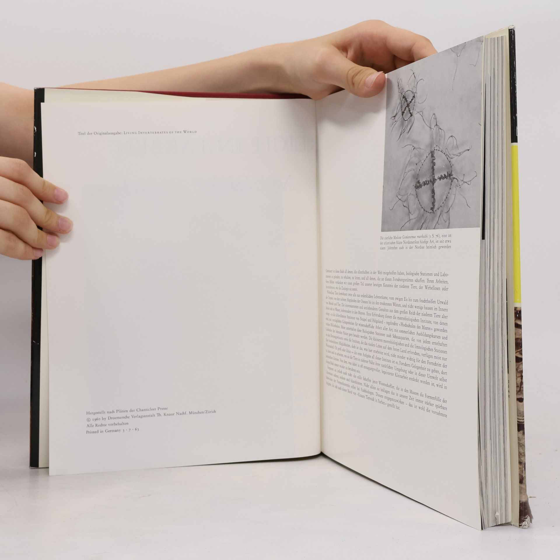 Various authors Knaurs Tierreich in Farben - Niedere Tiere