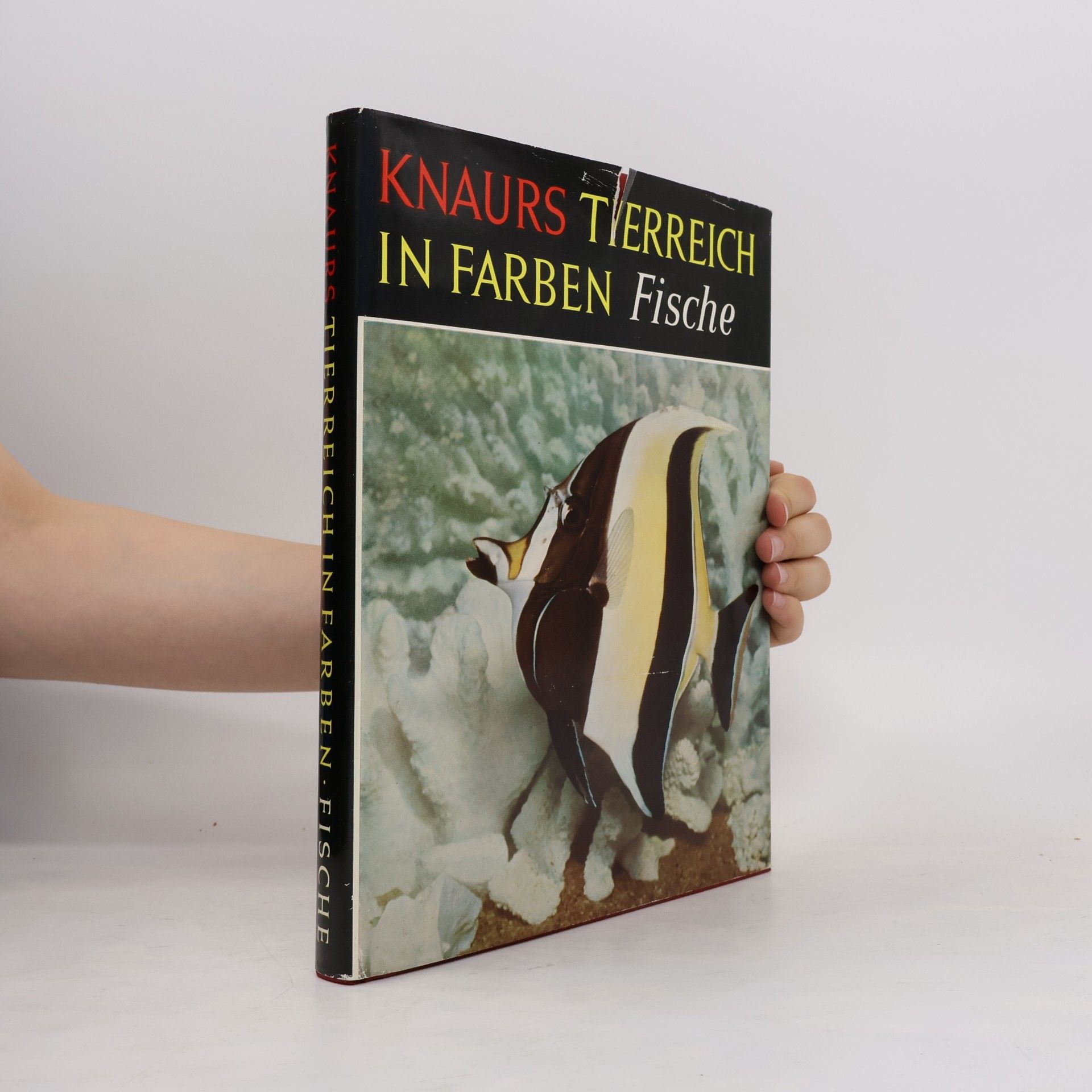 Earl Herald Knaurs Tierreich in Farben: Fische