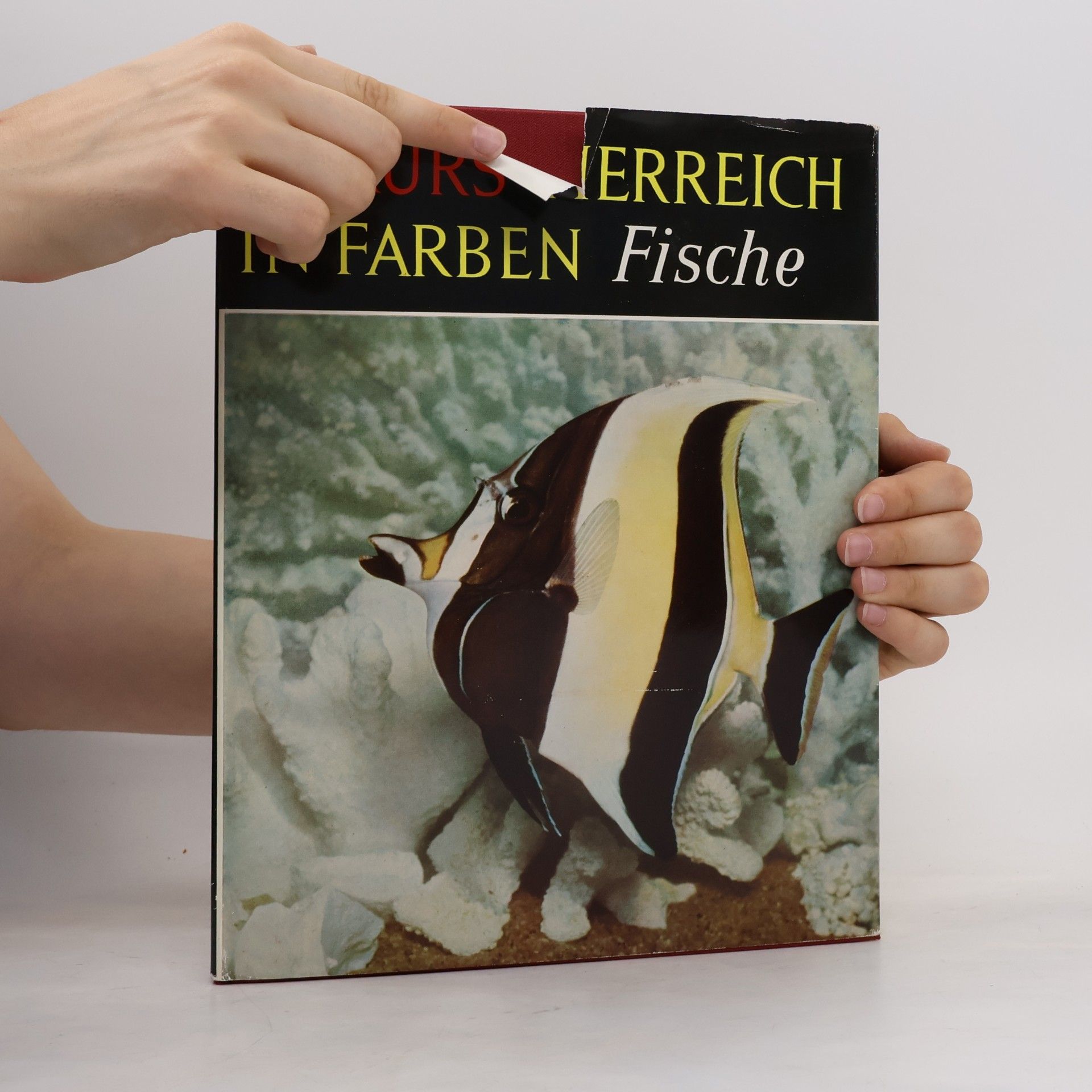 Earl Herald Knaurs Tierreich in Farben: Fische