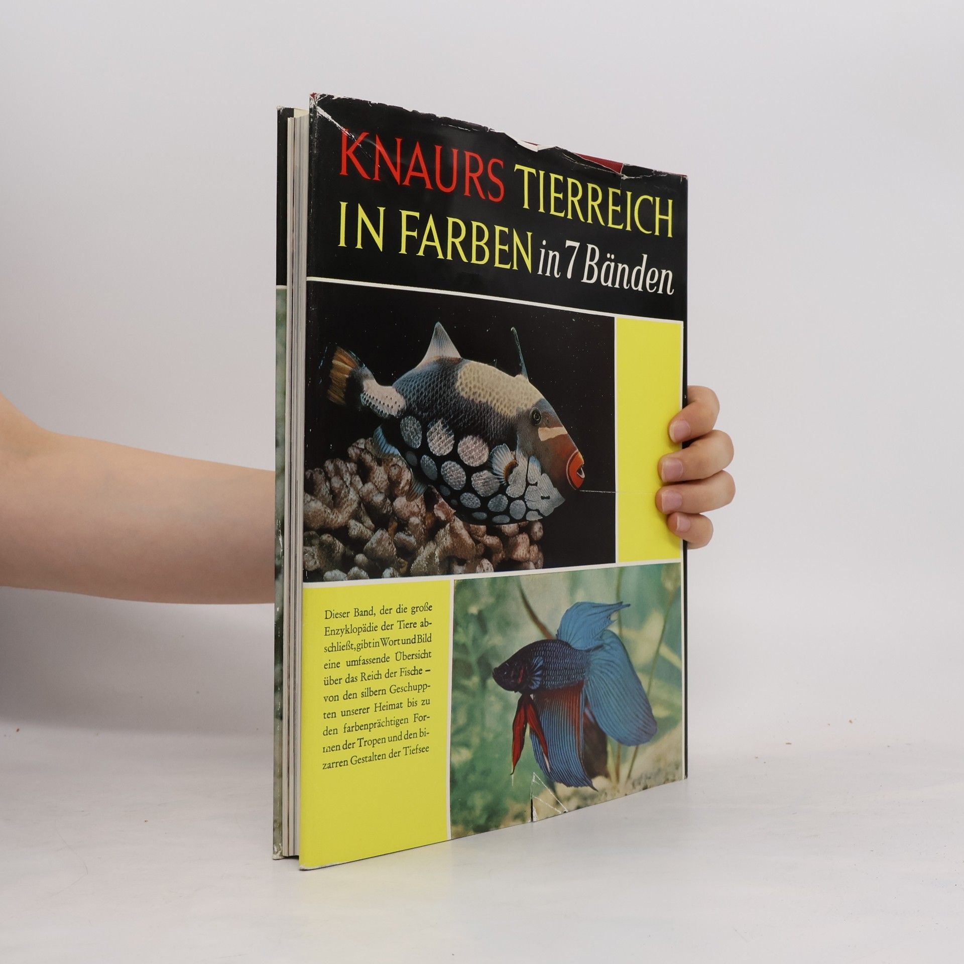 Earl Herald Knaurs Tierreich in Farben: Fische