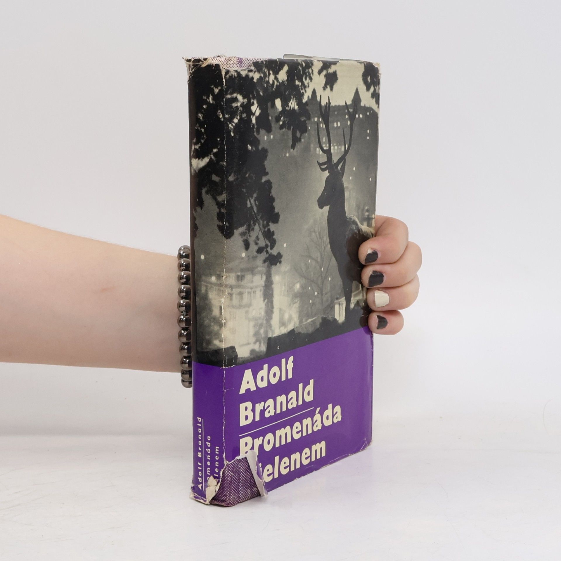Adolf Branald Promenáda s jelenem
