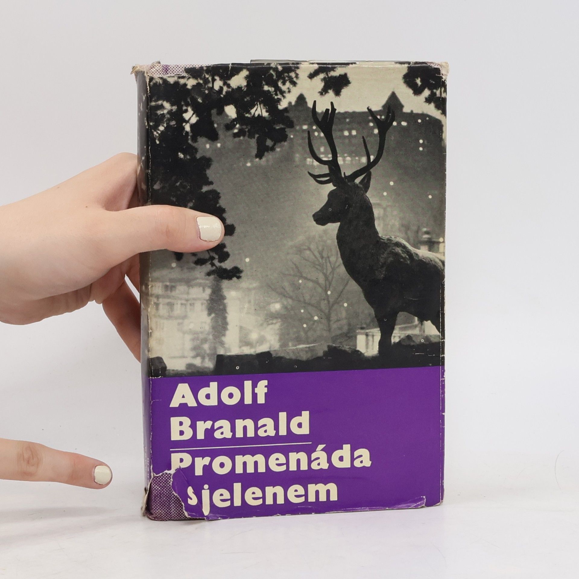 Adolf Branald Promenáda s jelenem