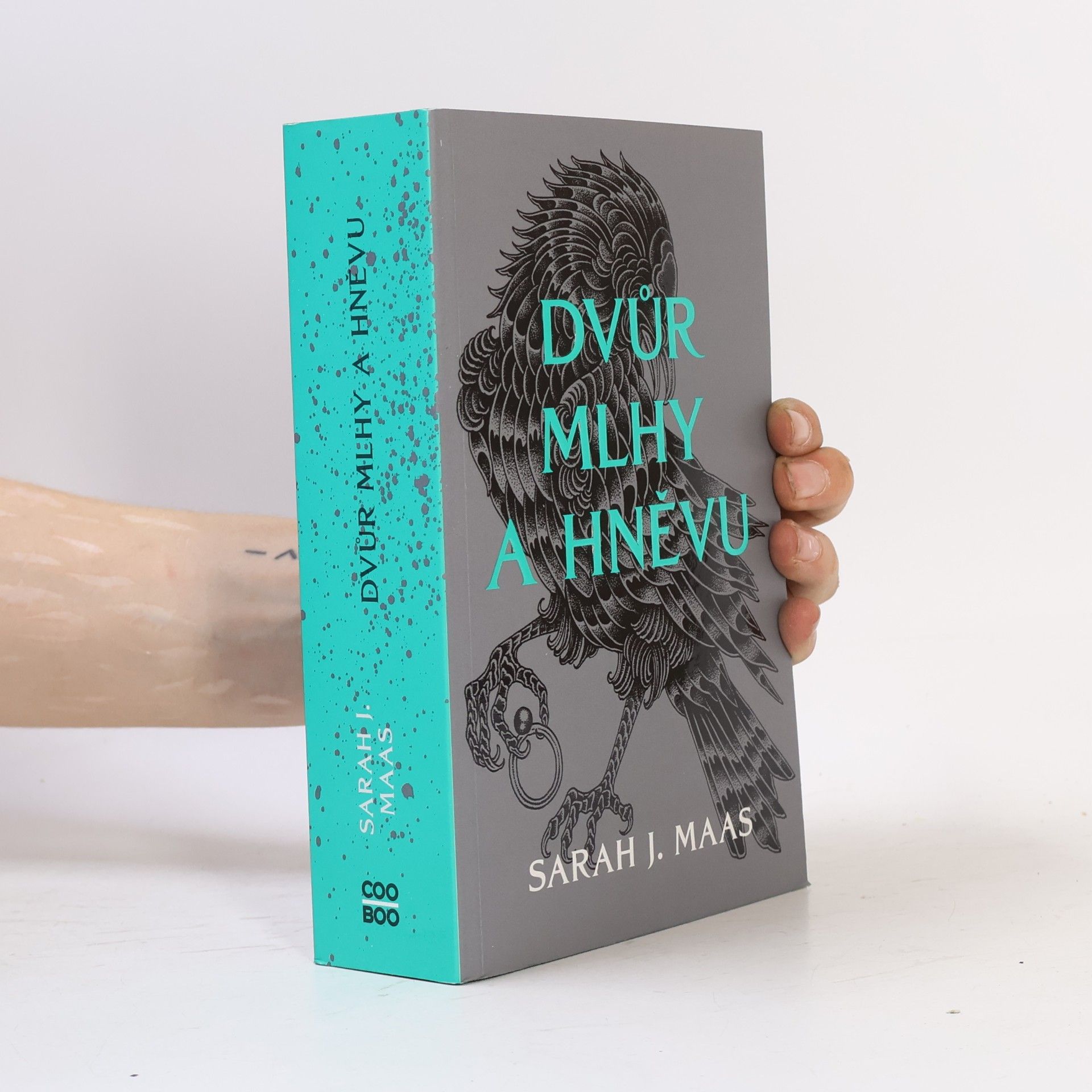 Sarah J. Maas Dvůr mlhy a hněvu