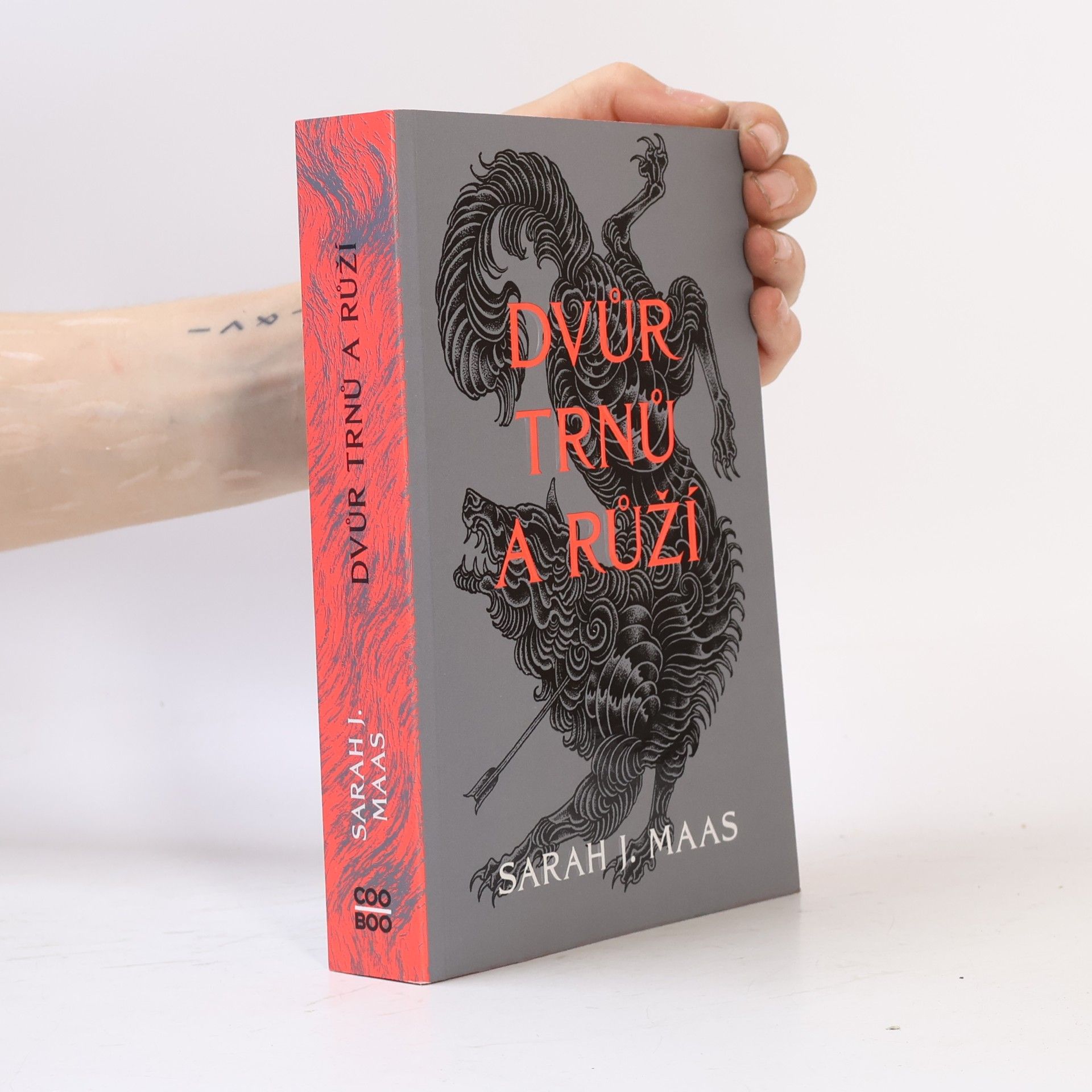 Sarah J. Maas Dvůr trnů a růží