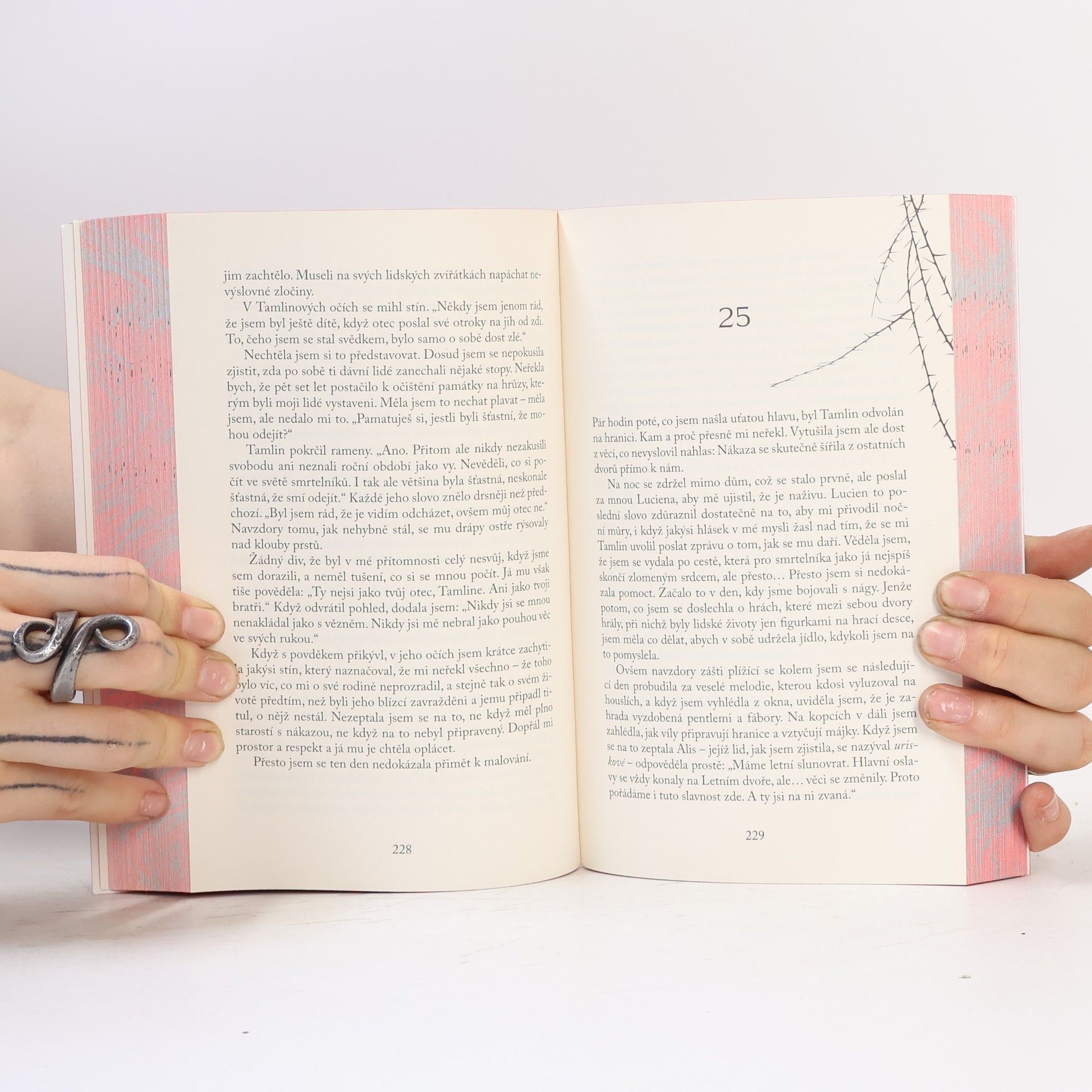 Sarah J. Maas Dvůr trnů a růží