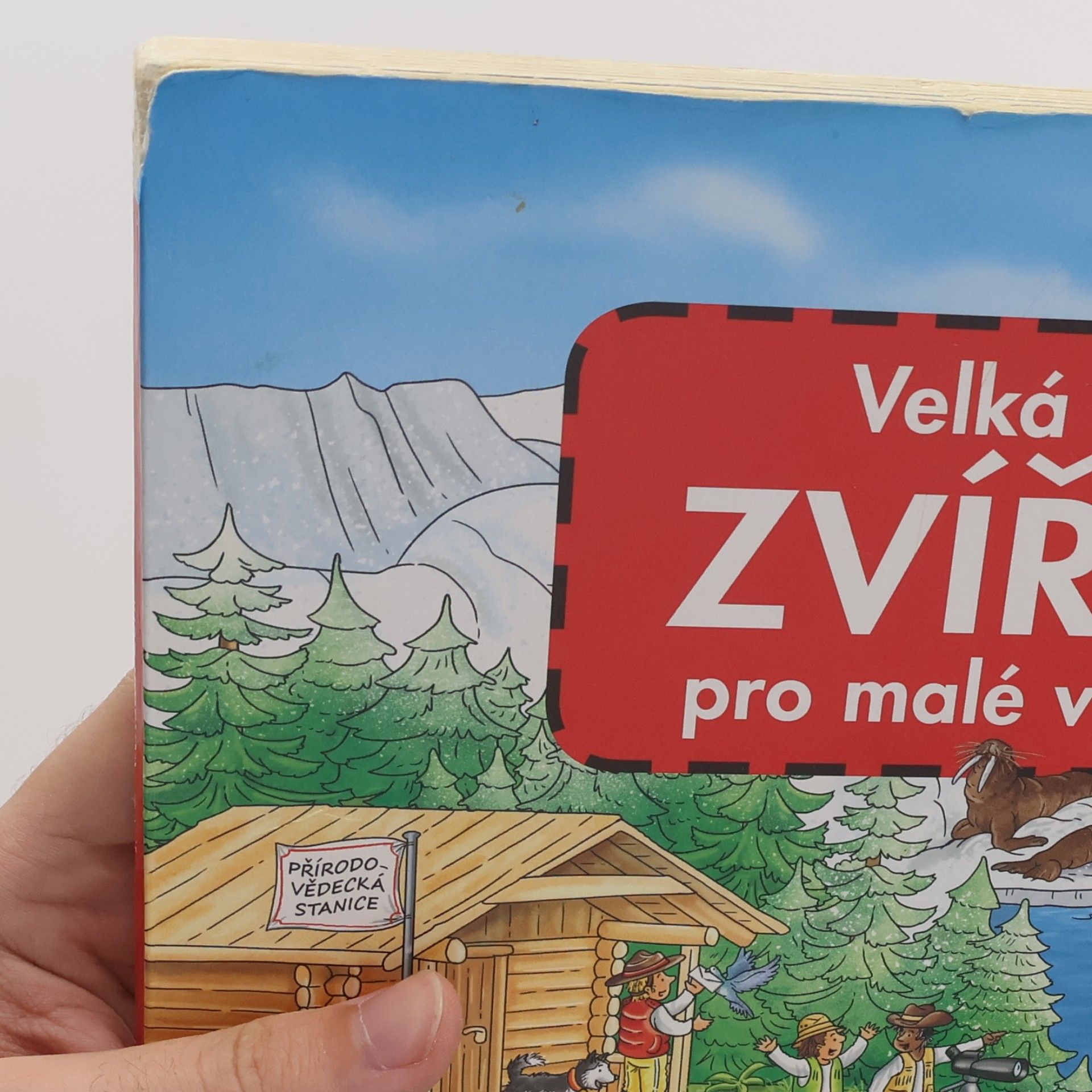 Stefan Lohr Zvířata - Velká knížka pro malé vypravěče
