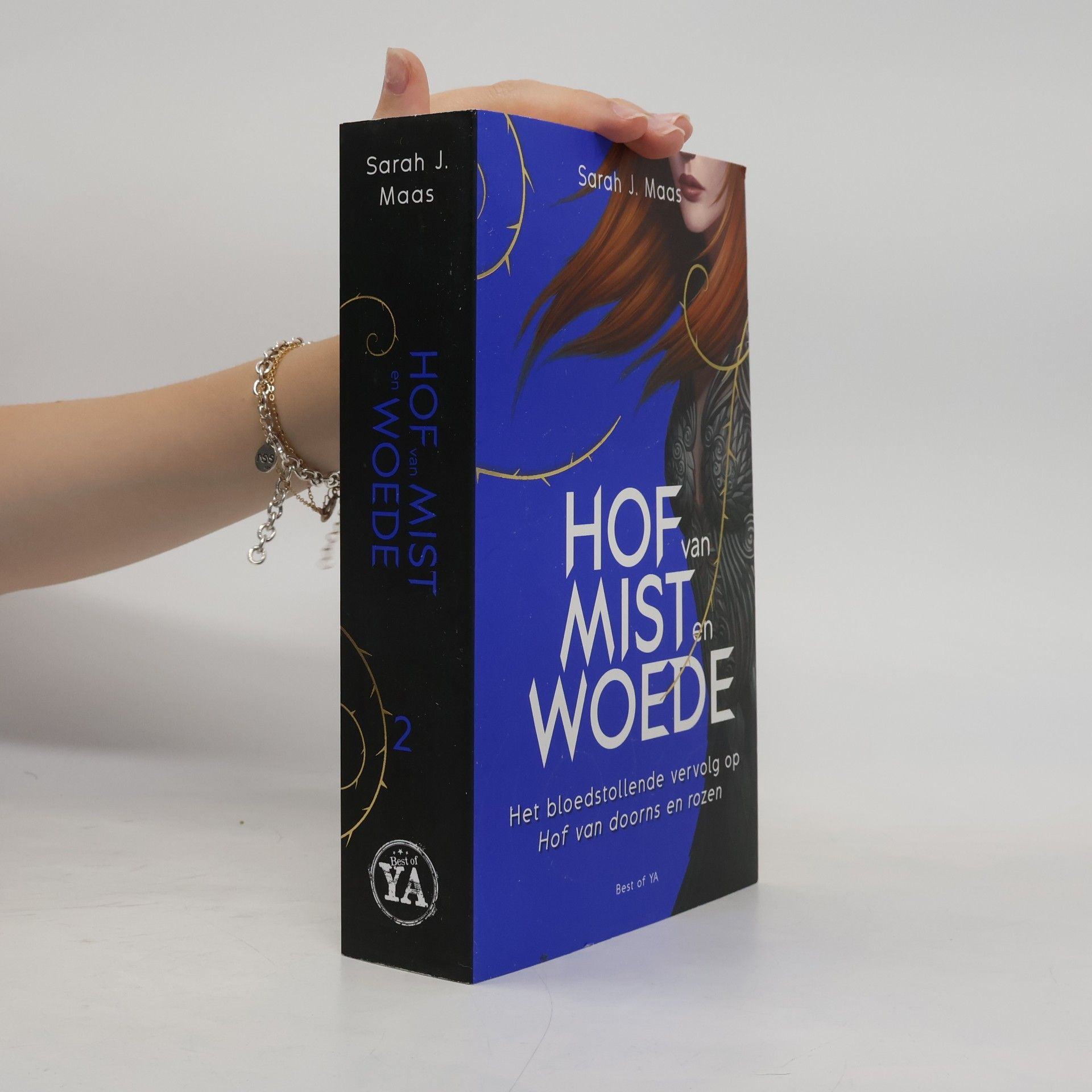 Valérie Janssen Hof van Doorns en Rozen - 2: Hof van Mist en Woede