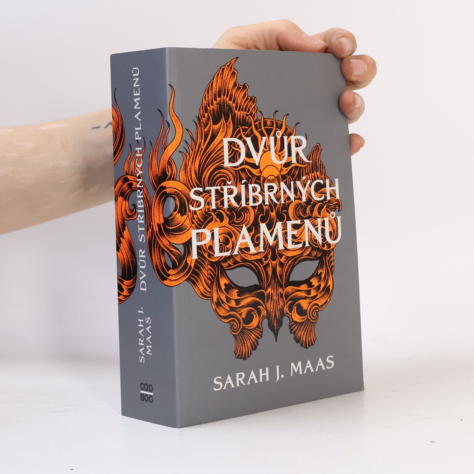 Sarah J. Maas Dvůr stříbrných plamenů