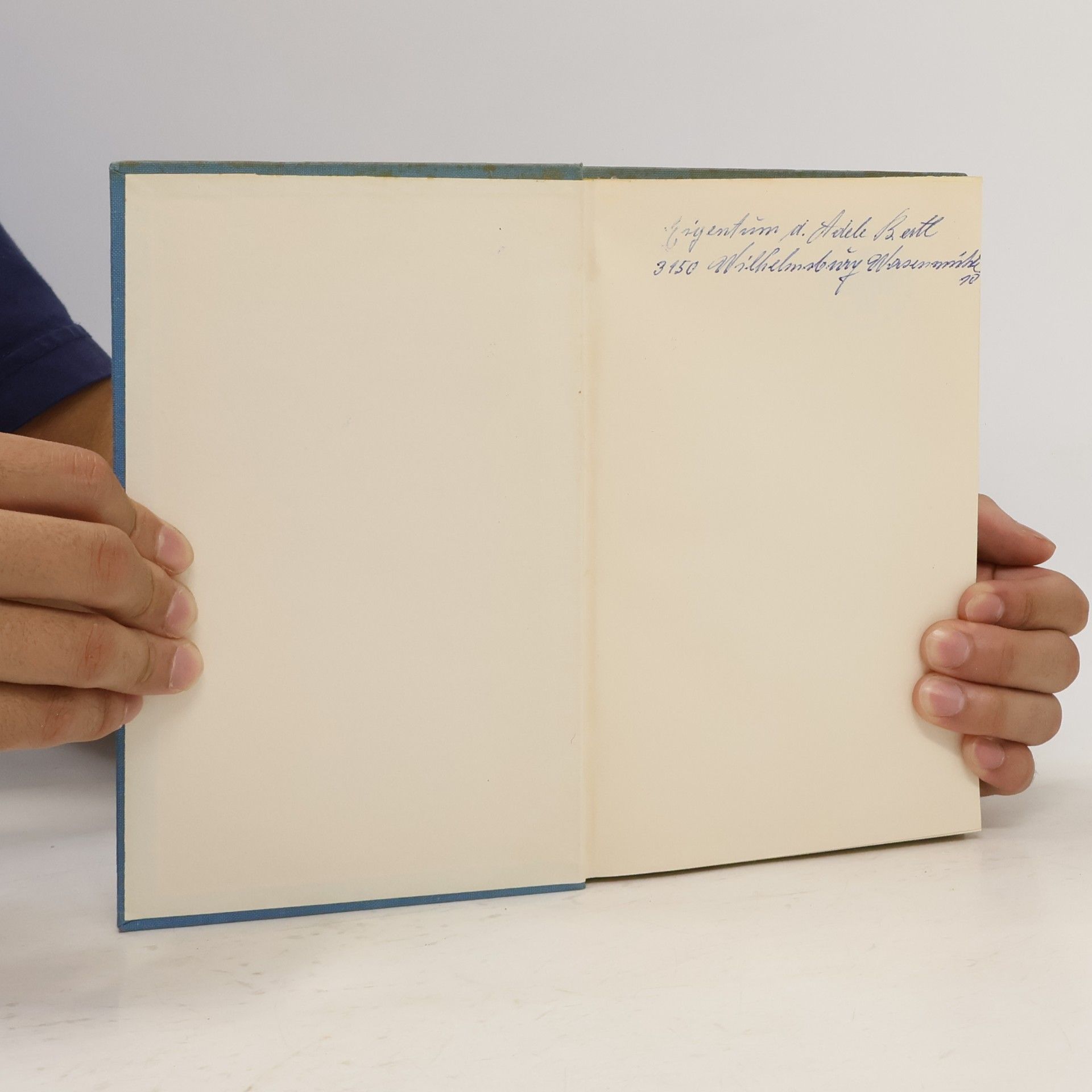 Ludwig Anzengruber Der Schandfleck
