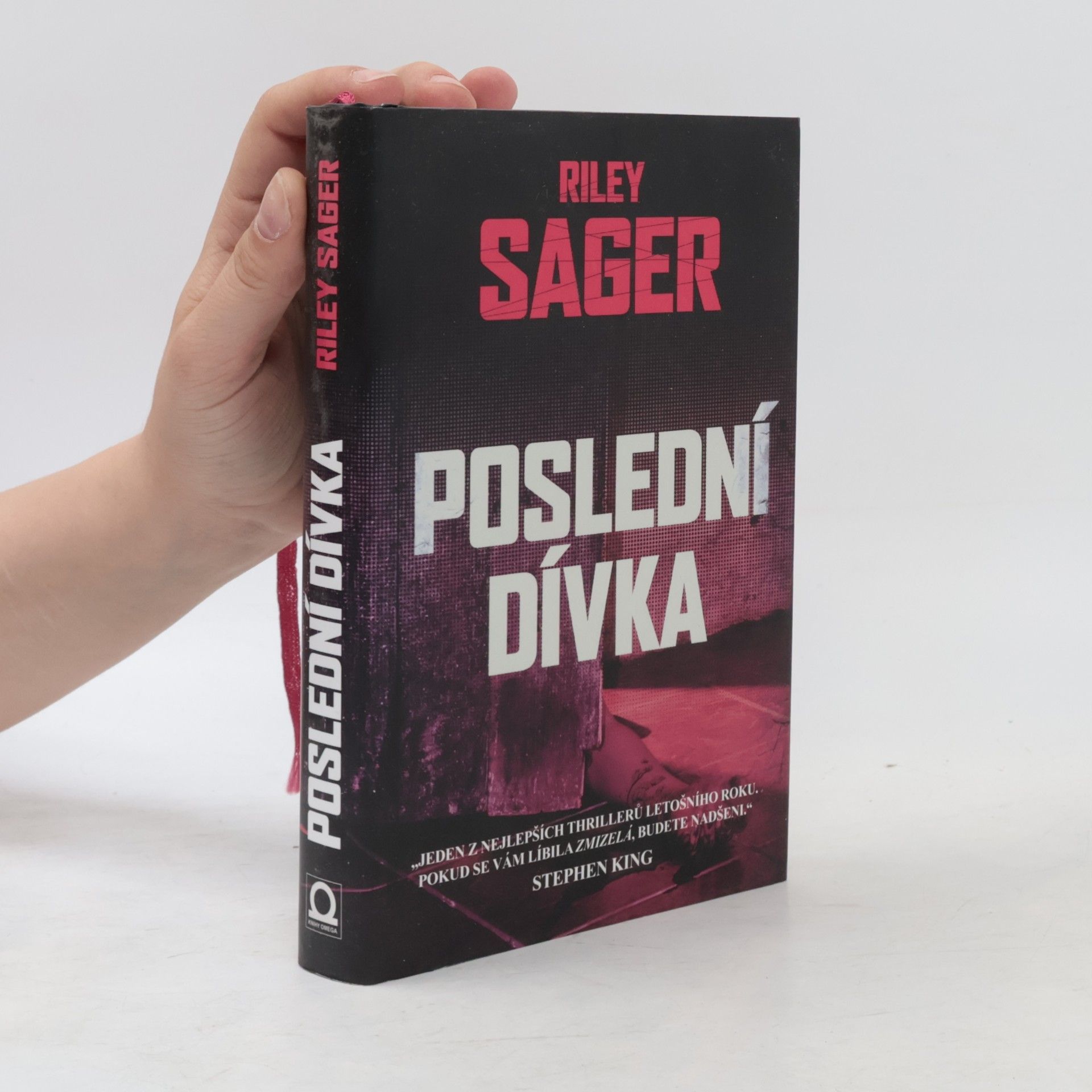 Todd Ritter Poslední dívka