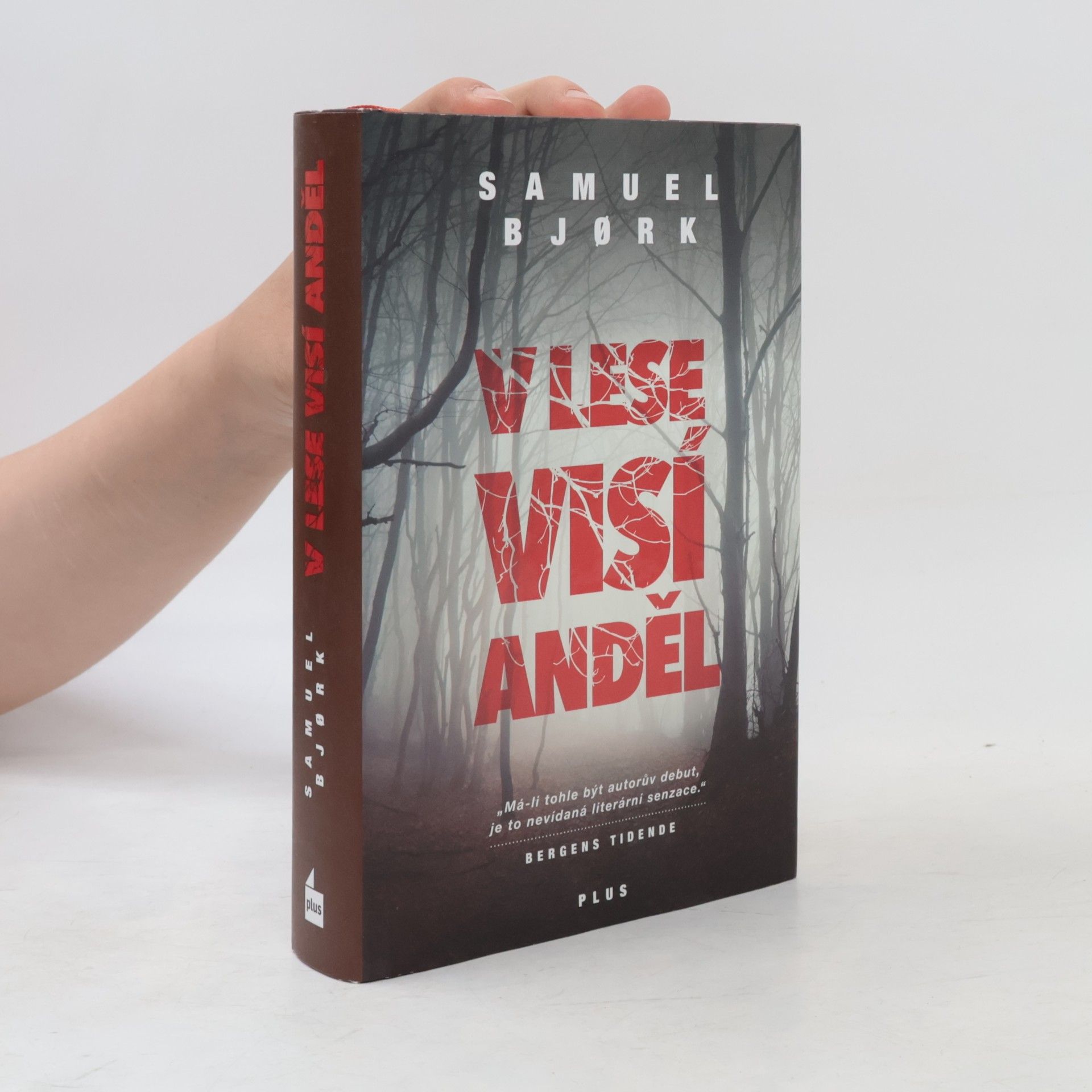 Samuel Bjork V lese visí anděl