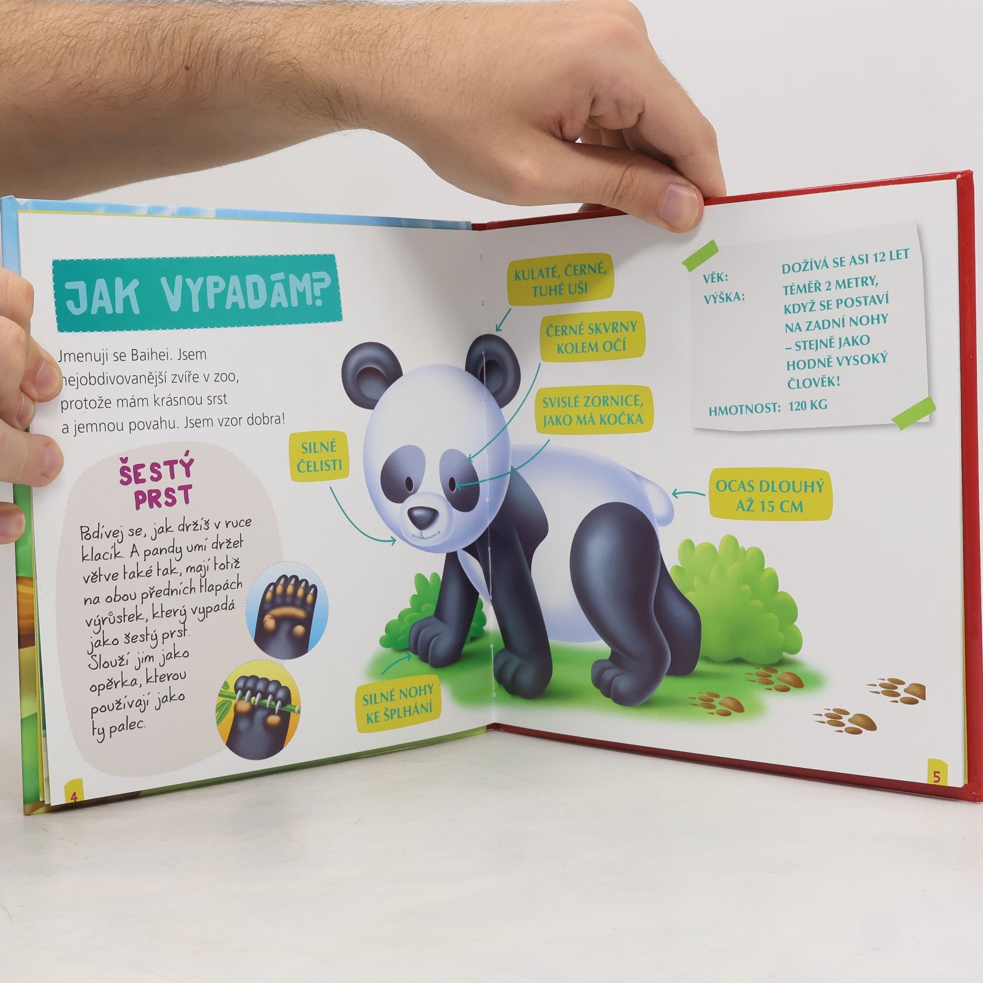 Autorenkollektiv Panda Baihei