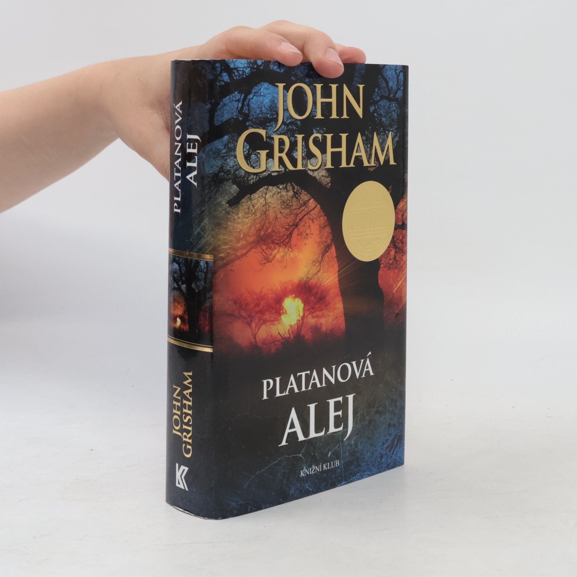 John Grisham Platanová alej