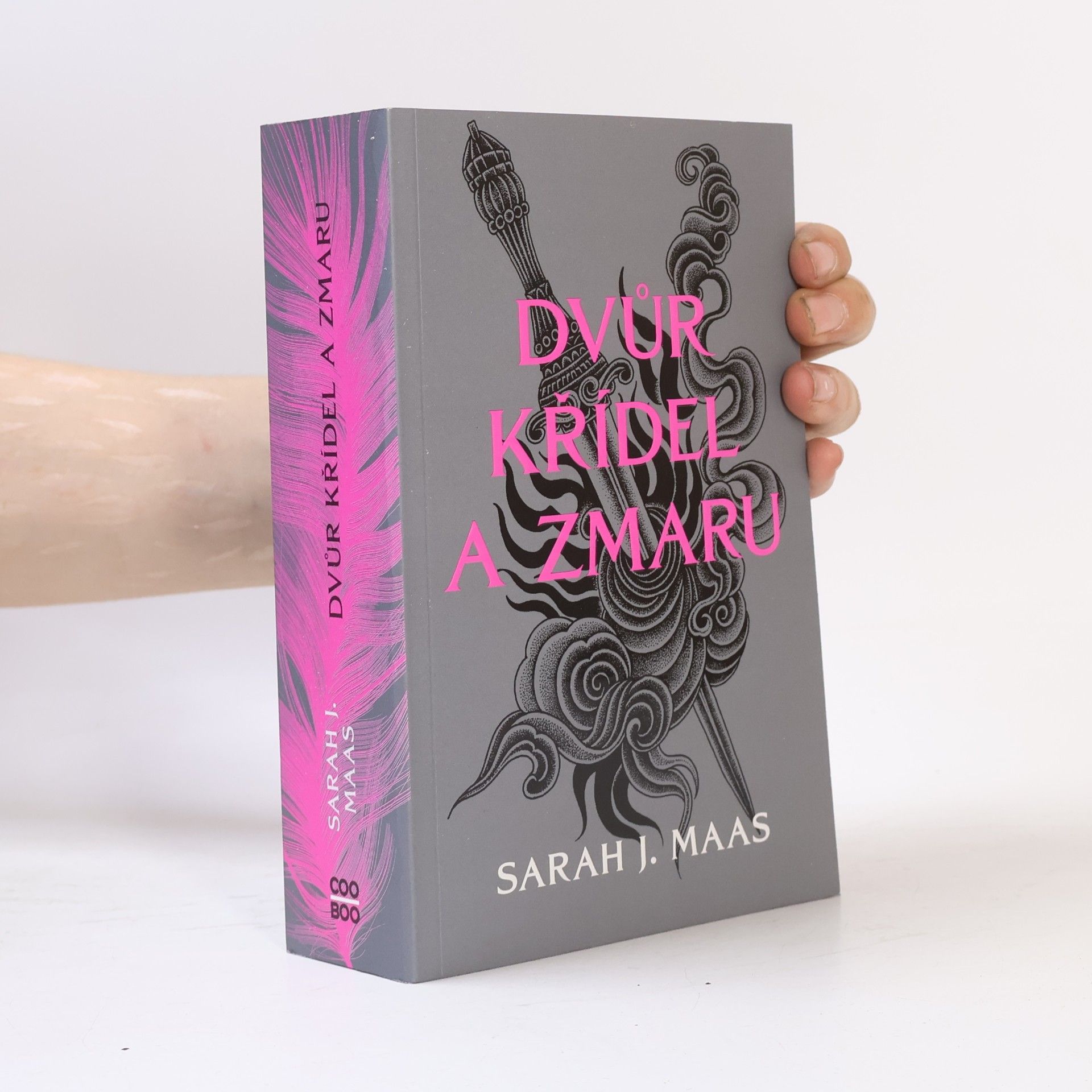 Sarah J. Maasová Dvůr křídel a zmaru