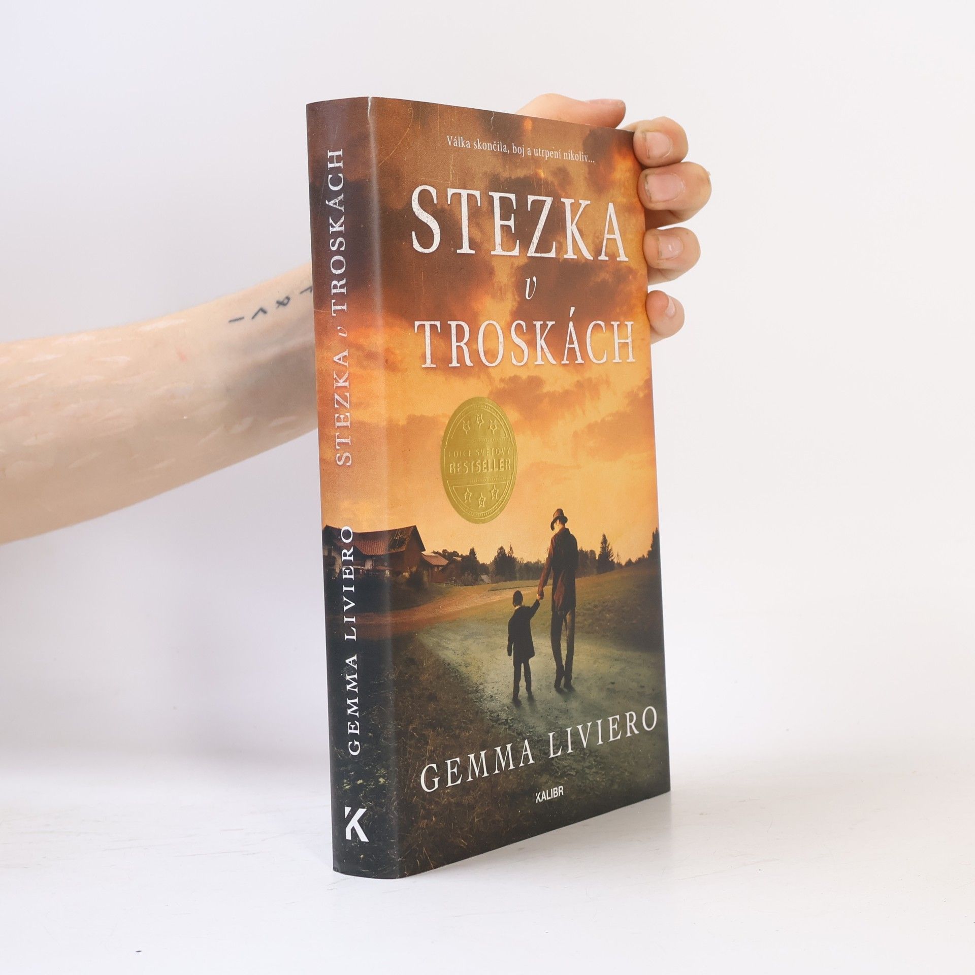 Gemma Liviero Stezka v troskách