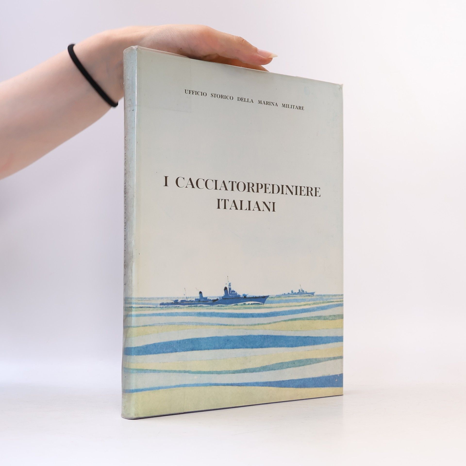 Various authors I cacciatorpediniere italiani