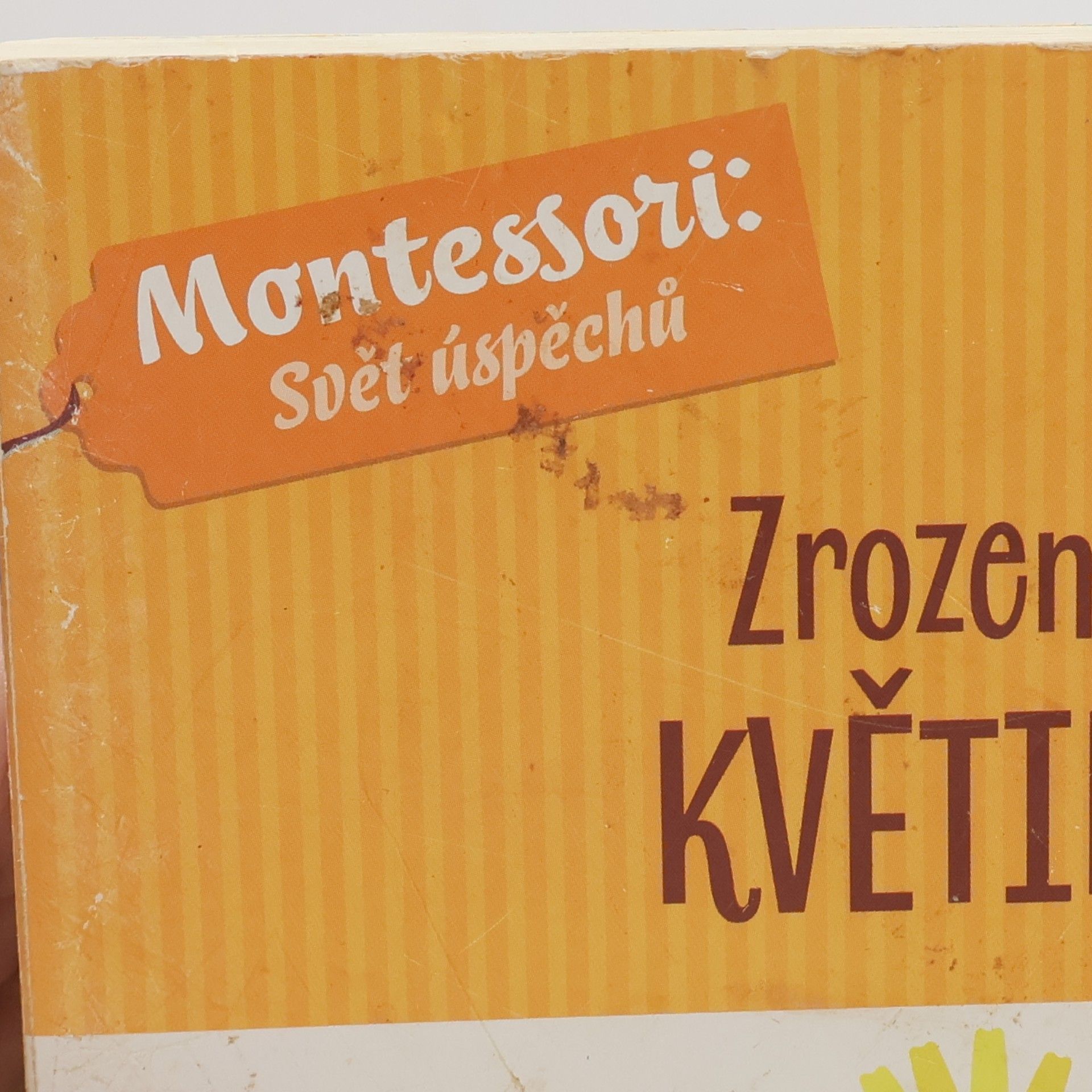 Chiara Piroddi Zrození květiny