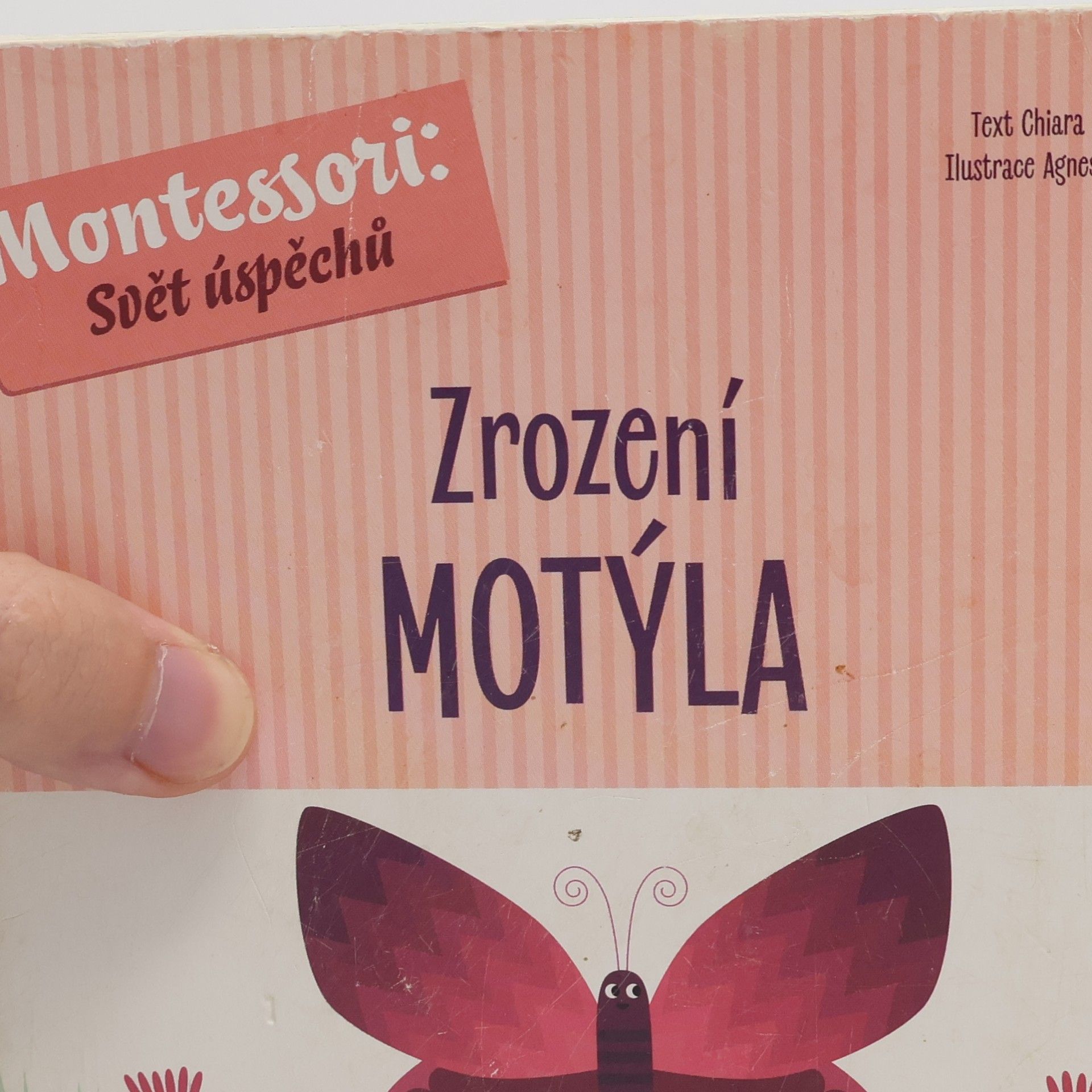 Chiara Piroddi Zrození motýla