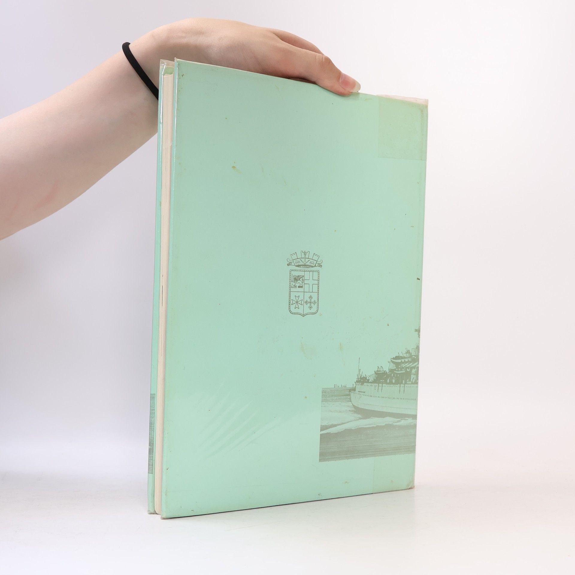 Various authors Le navi di linea italiane