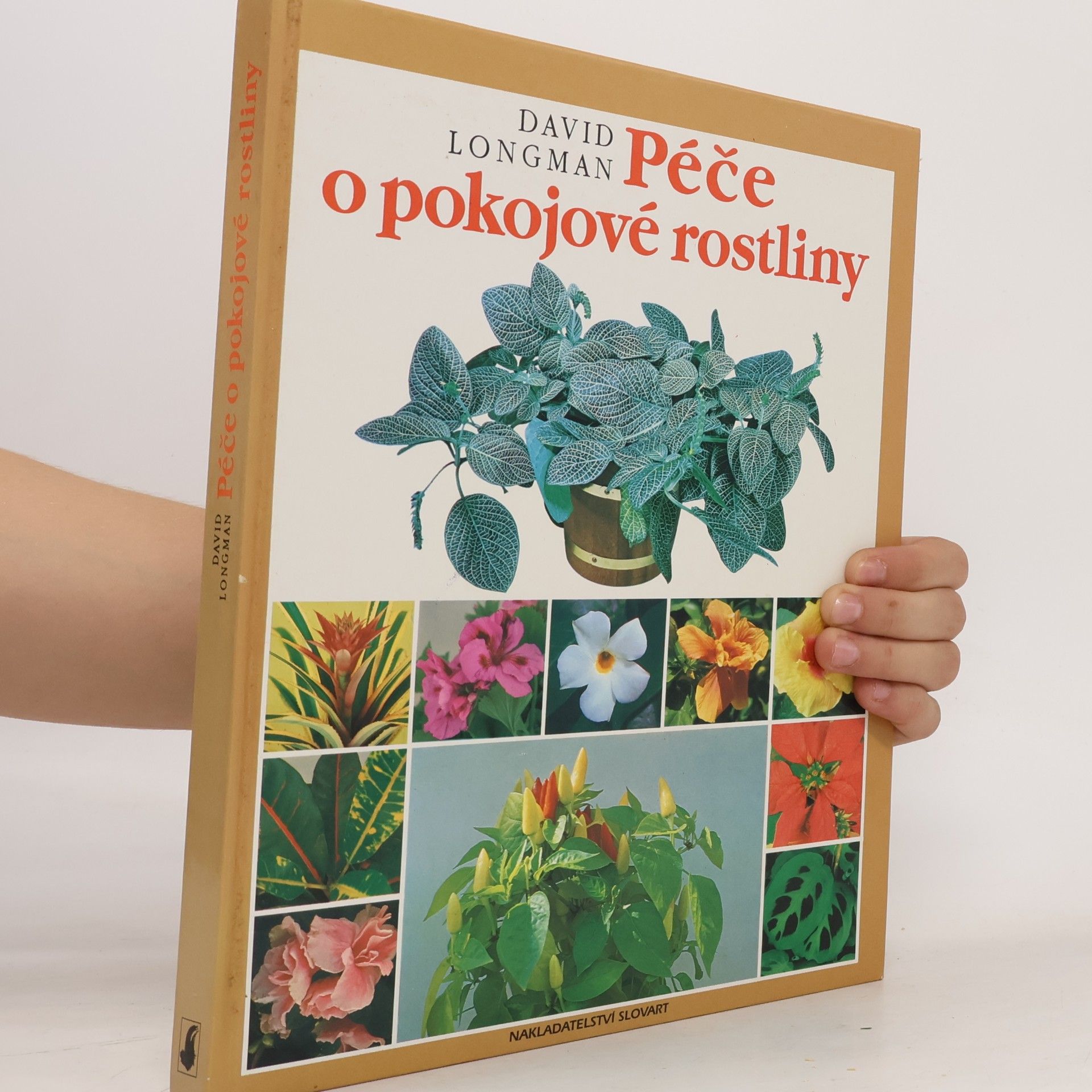 David Longman Péče o pokojové rostliny