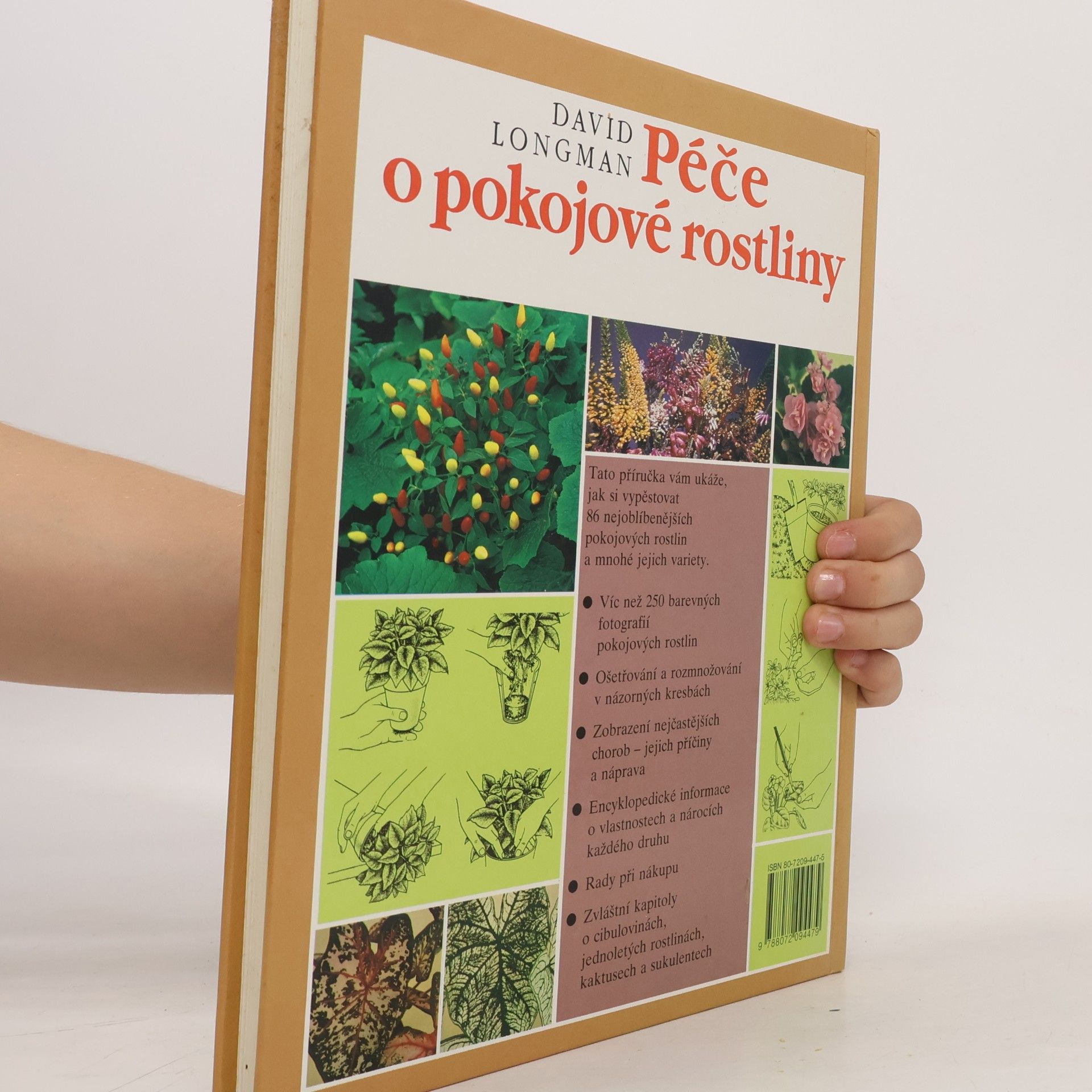 David Longman Péče o pokojové rostliny