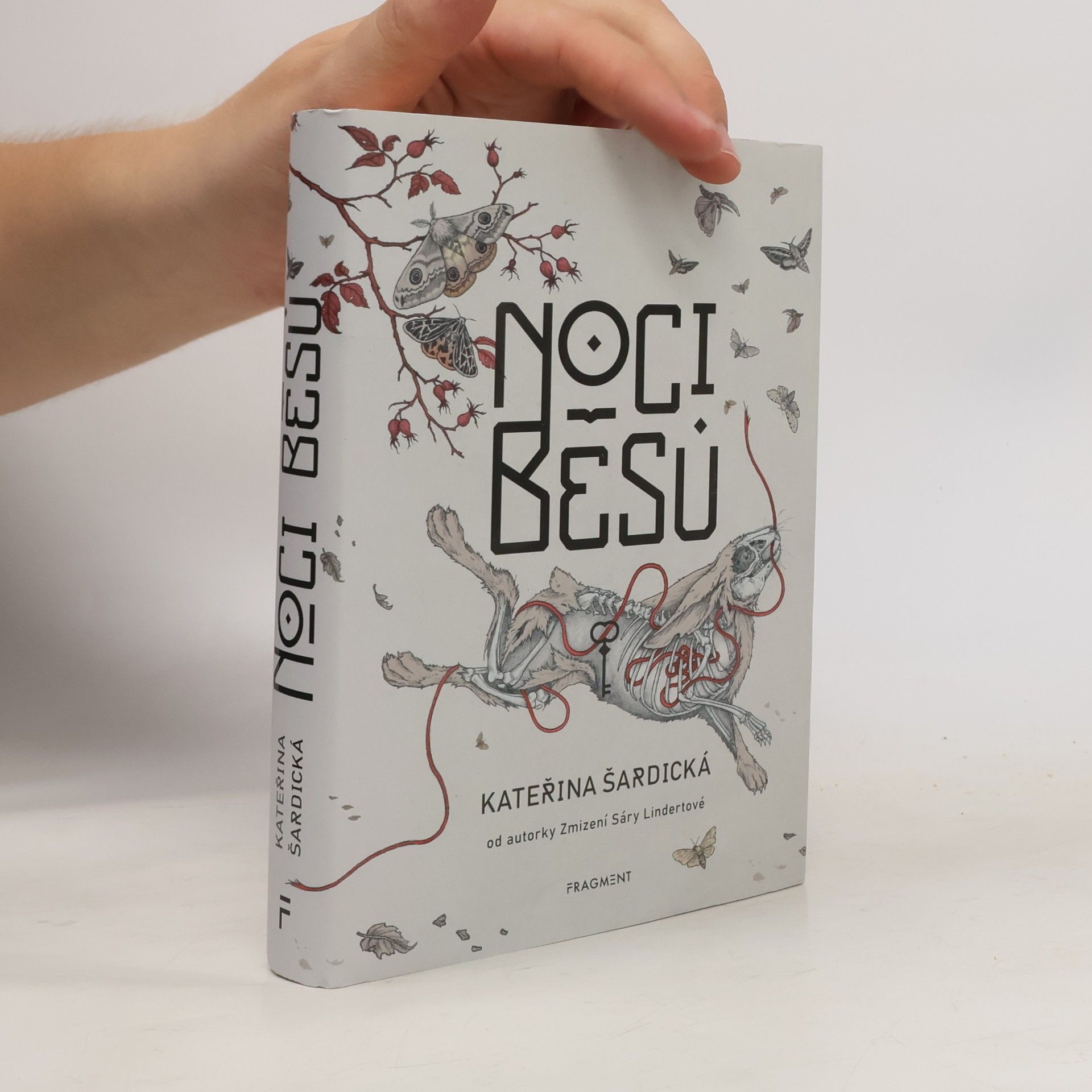 Kateřina Šardická Noci běsů