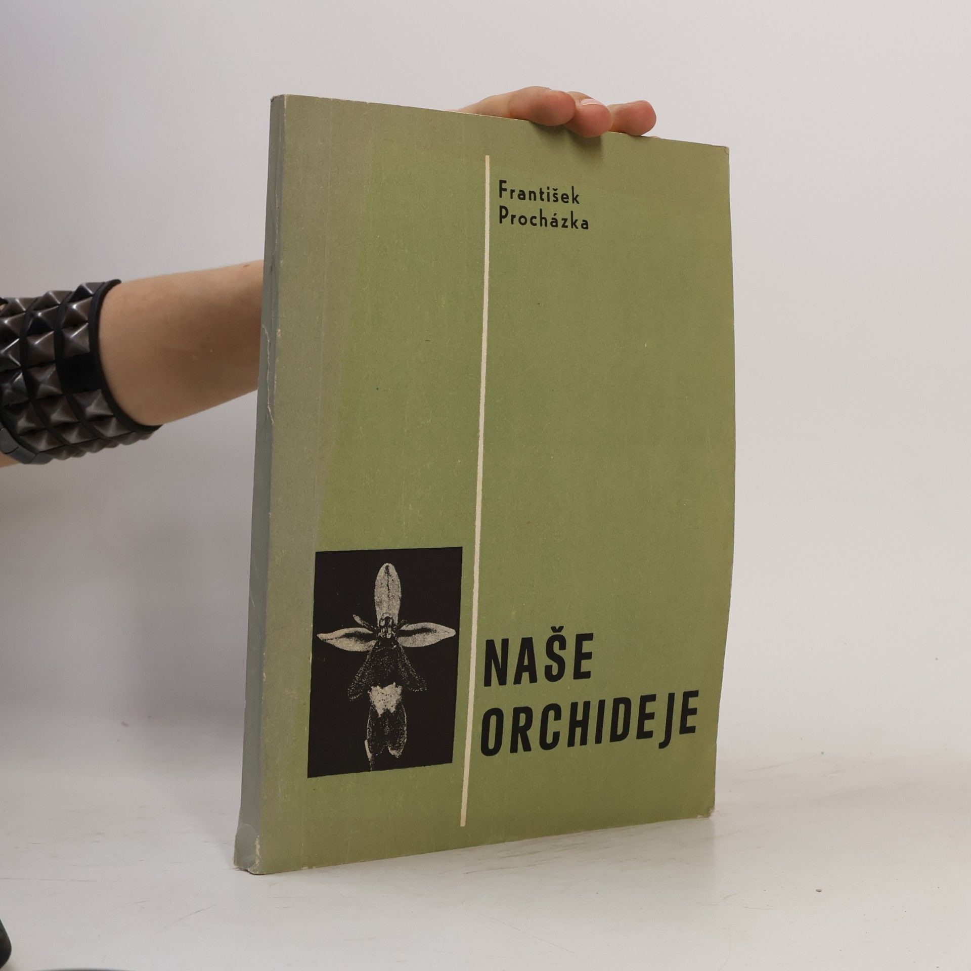 Naše orchideje