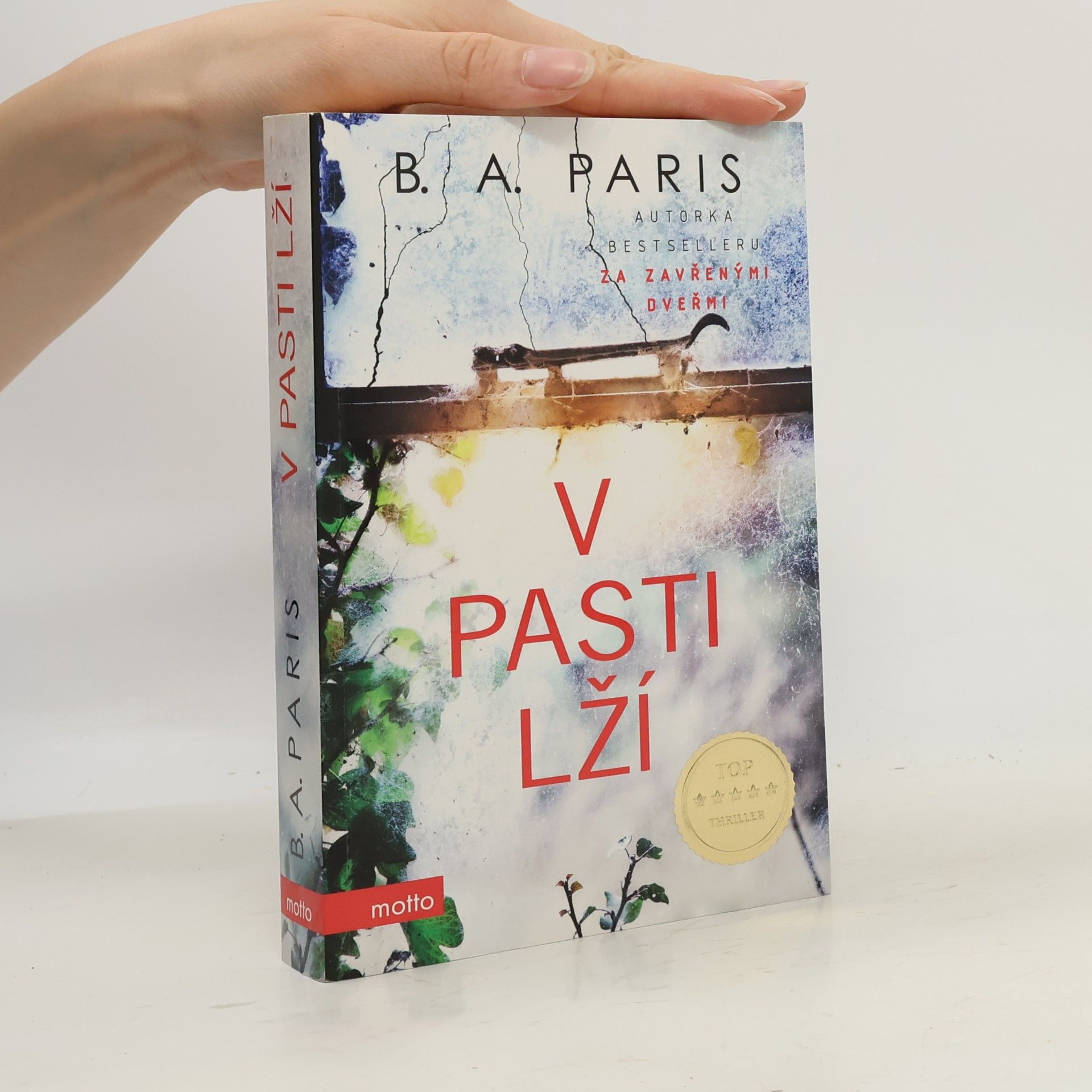 B. A. Paris V pasti lží