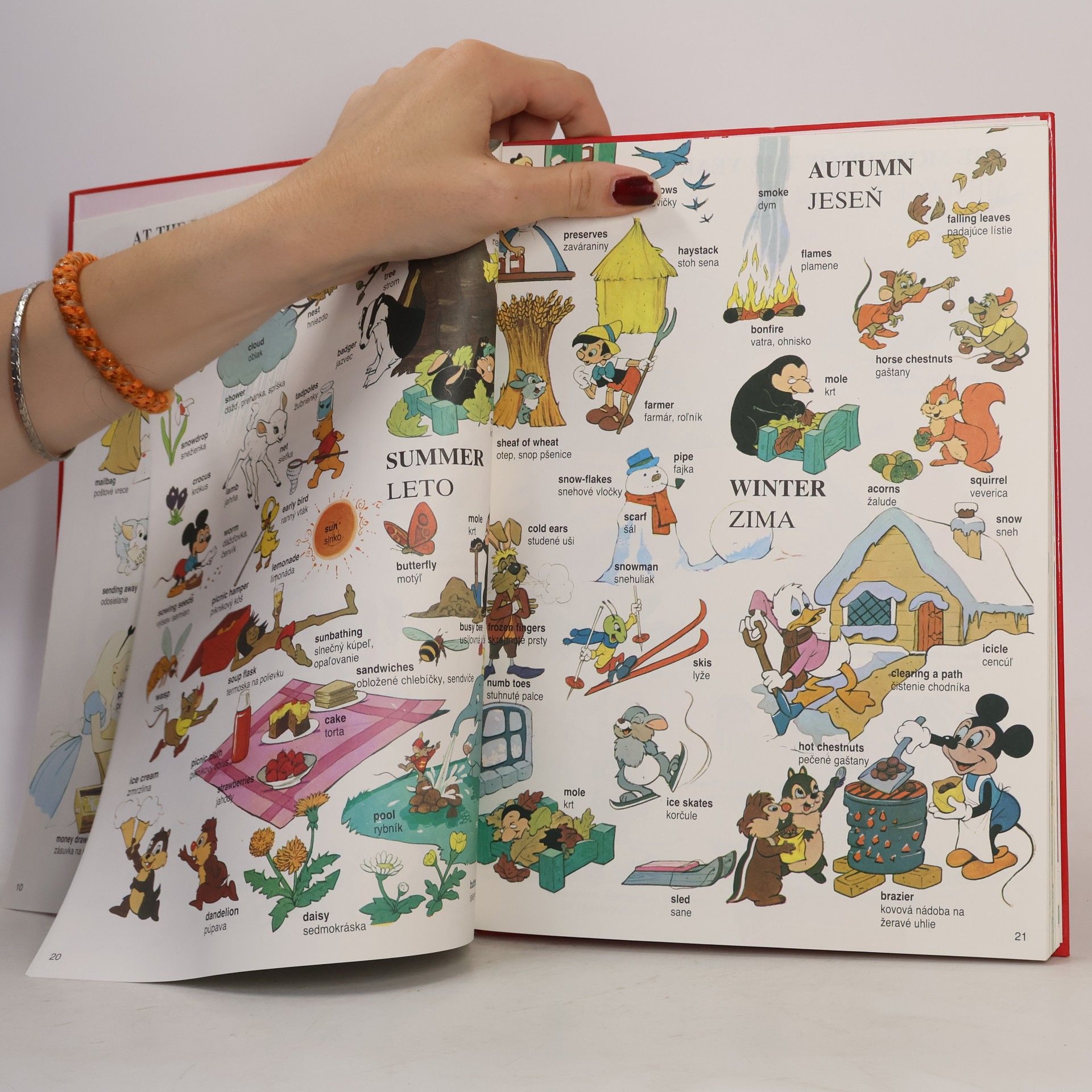 Walt Disney Vel’ký obrázkový slovník anglicko - slovenský