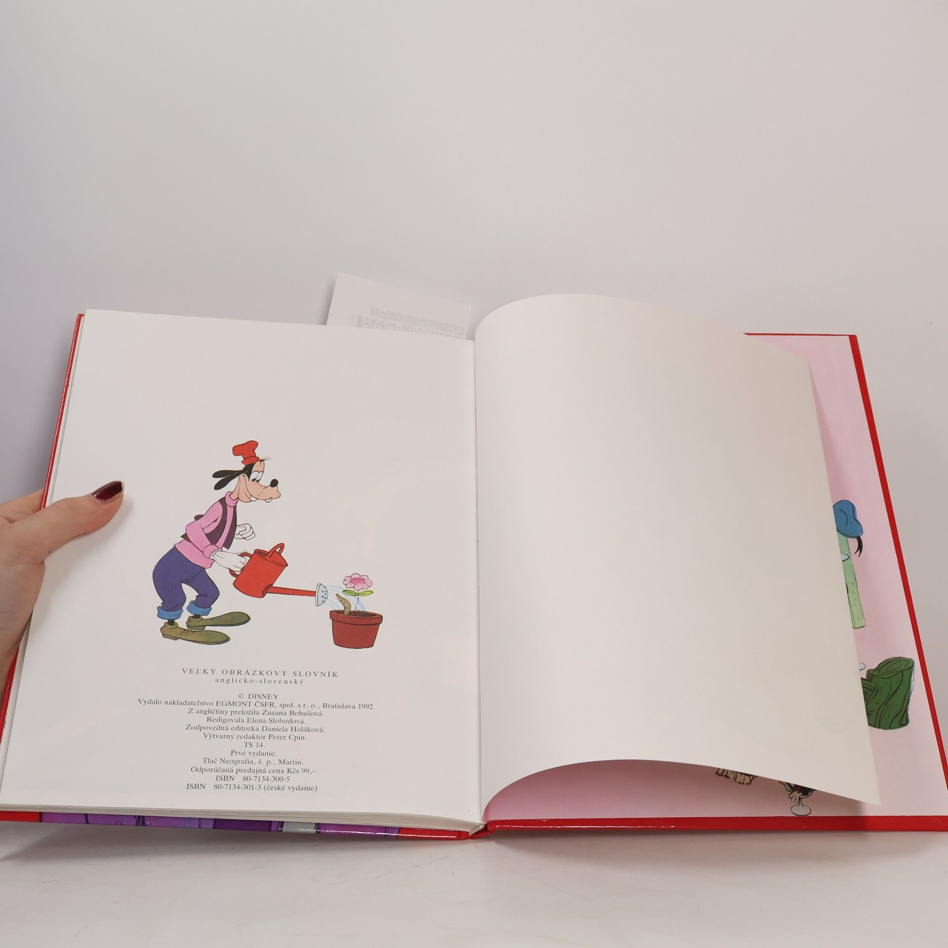 Walt Disney Vel’ký obrázkový slovník anglicko - slovenský