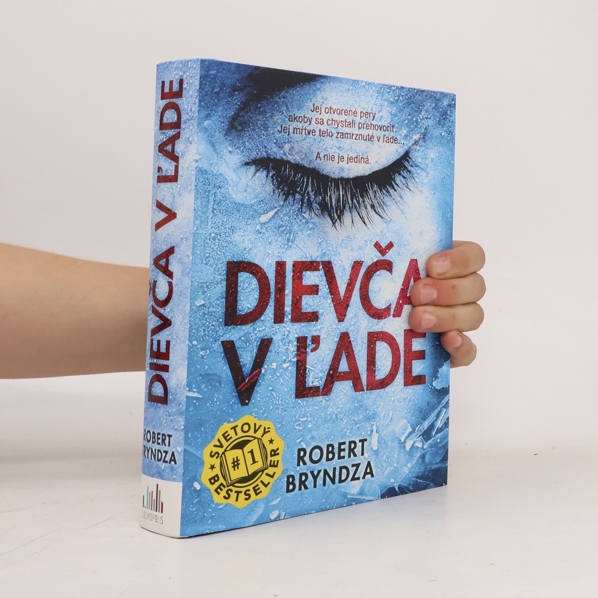 Robert Bryndza Dievča v ľade