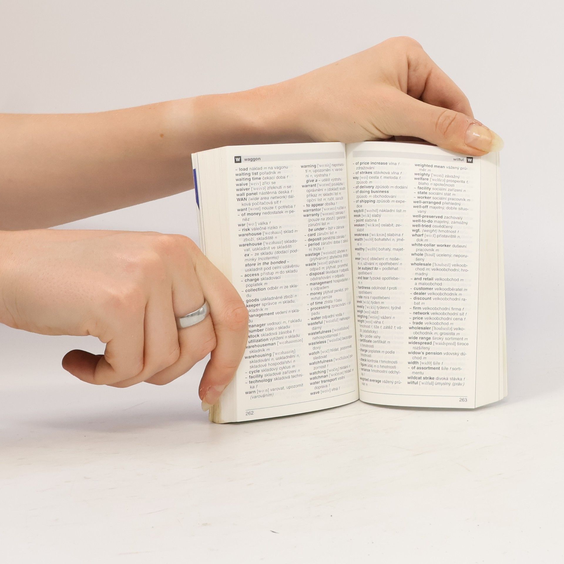 Marcela Straková Handy slovník ekonomický anglicko-český a česko-anglický = Handy dictionary of business terms English-Czech, Czech-English