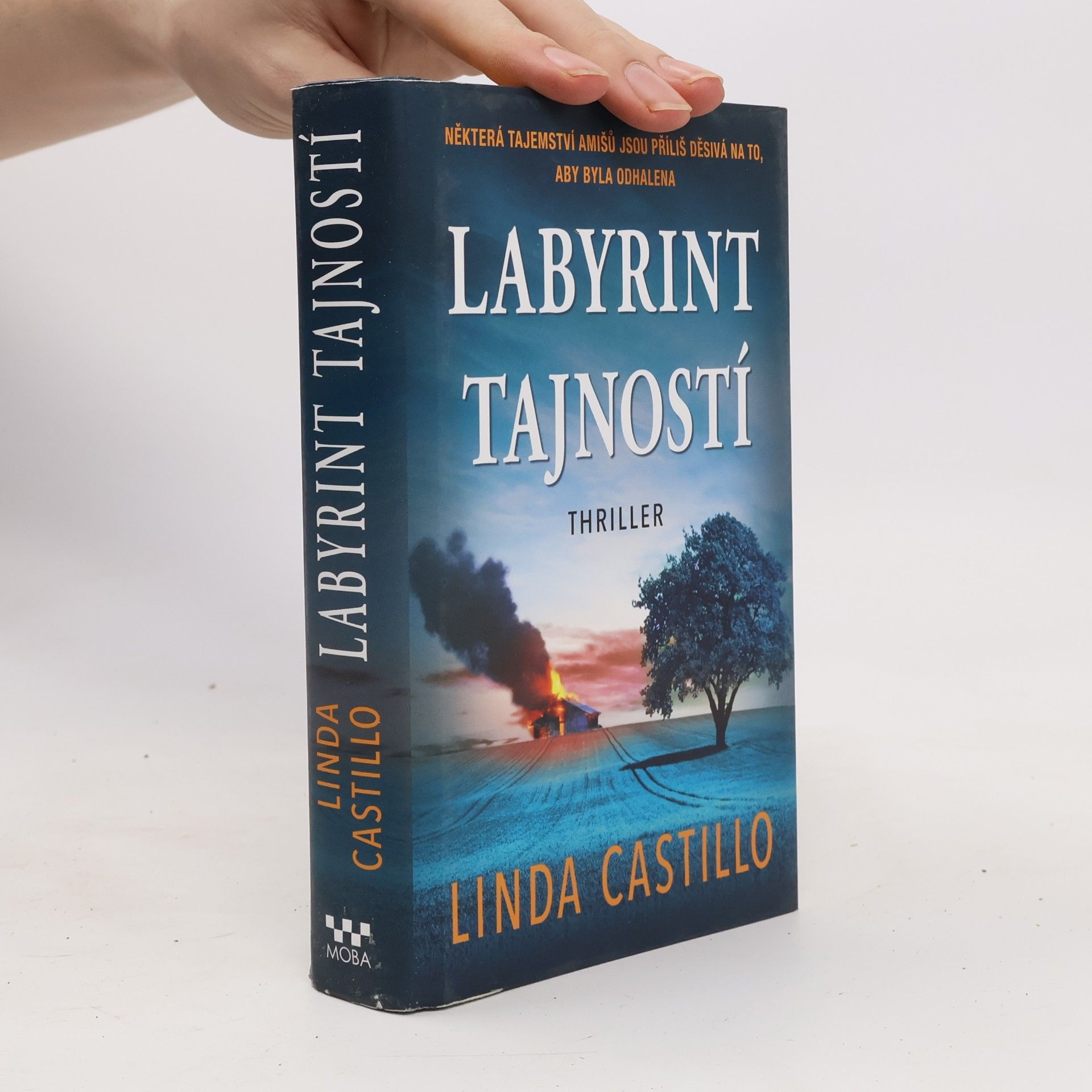 Linda Castillo Labyrint tajností