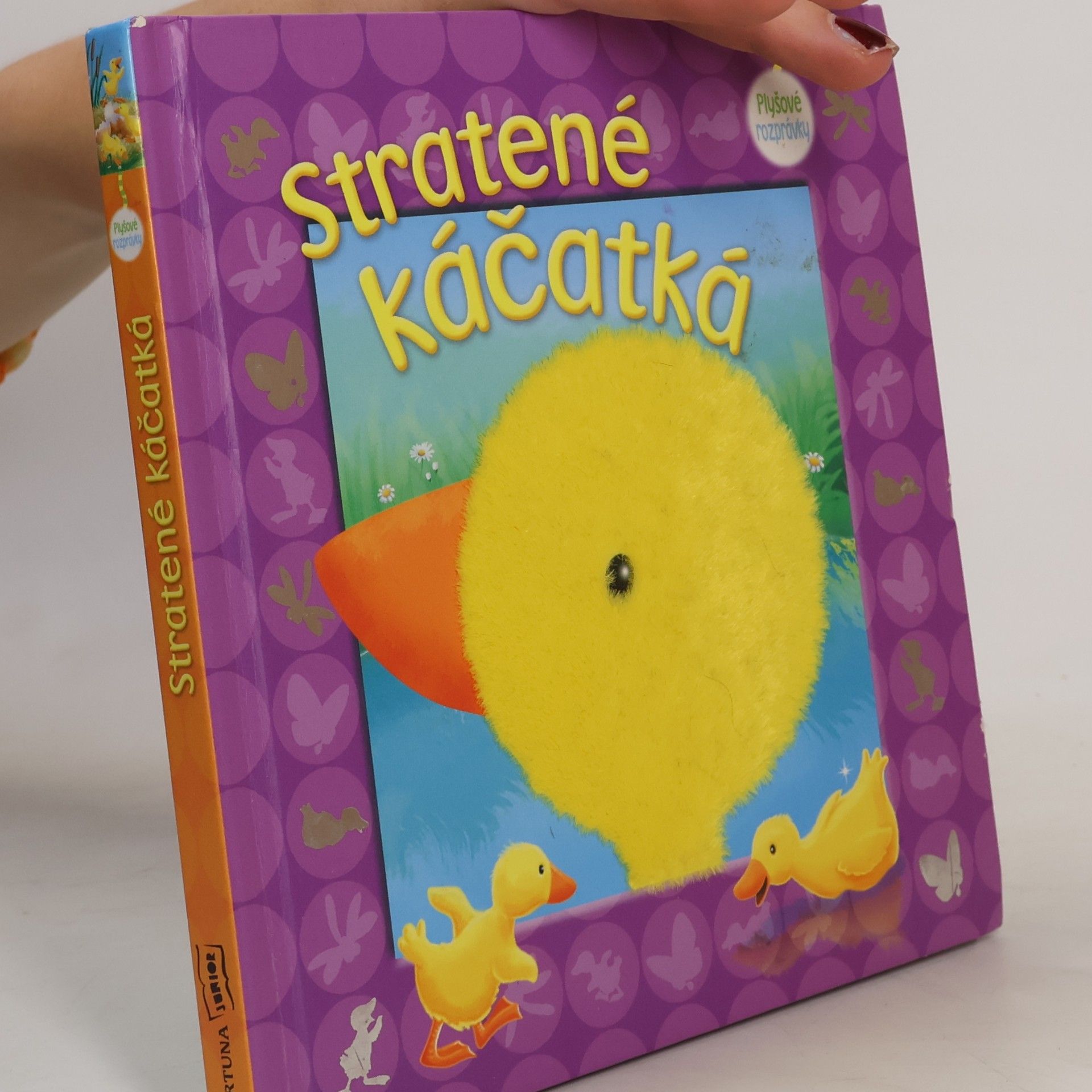 Kolektiv autorů Stratené káčatká