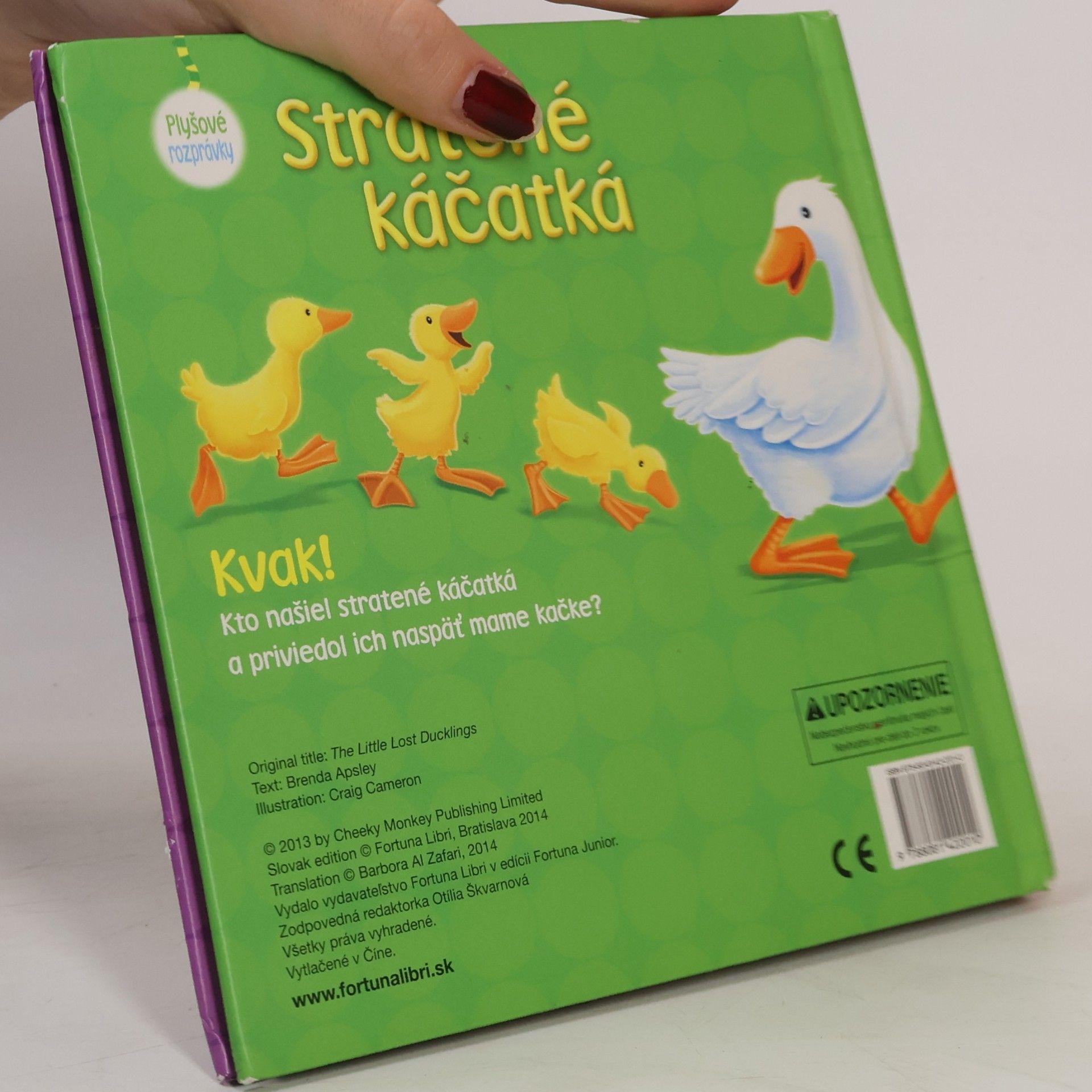 Kolektiv autorů Stratené káčatká