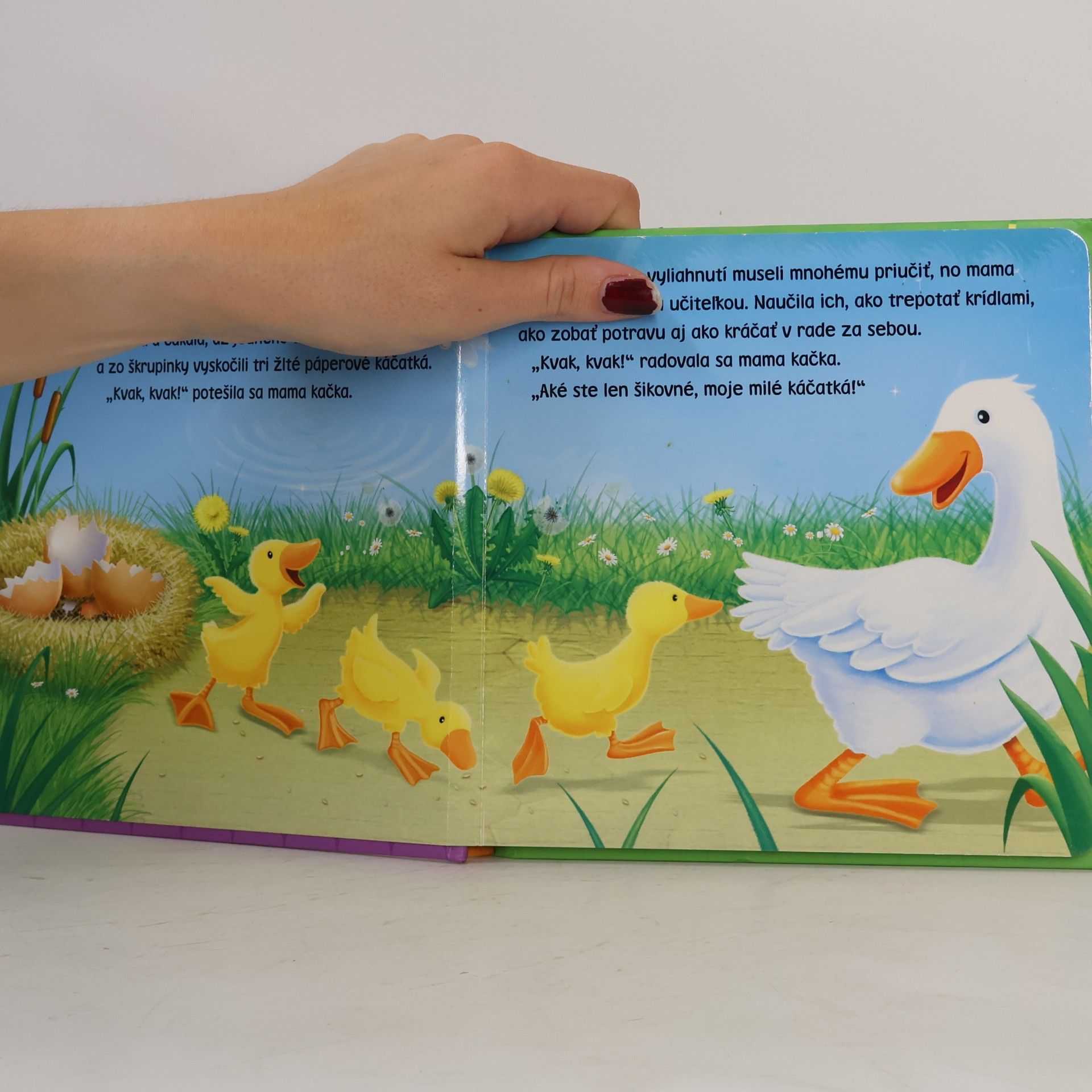 Kolektiv autorů Stratené káčatká