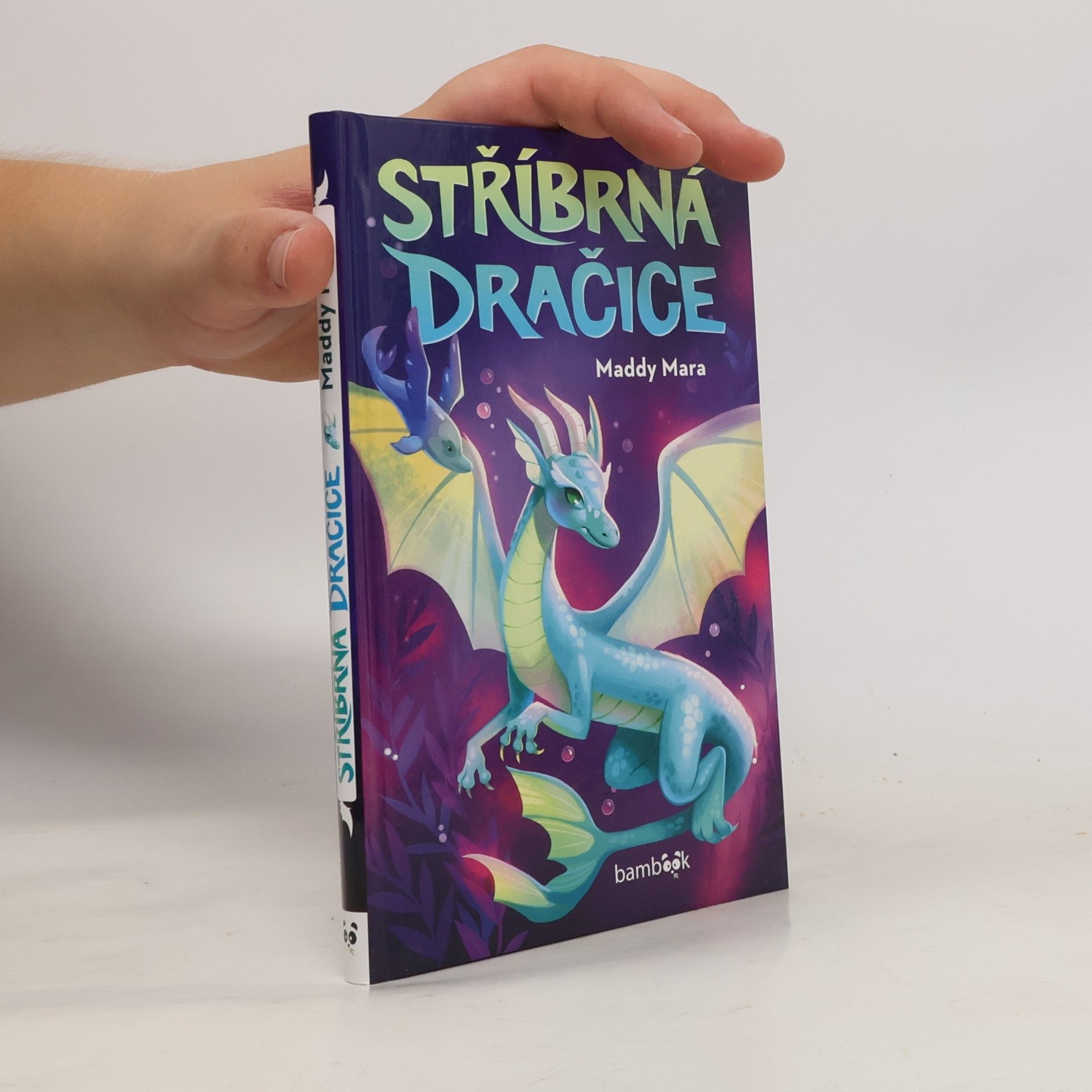 Maddy Mara Stříbrná dračice