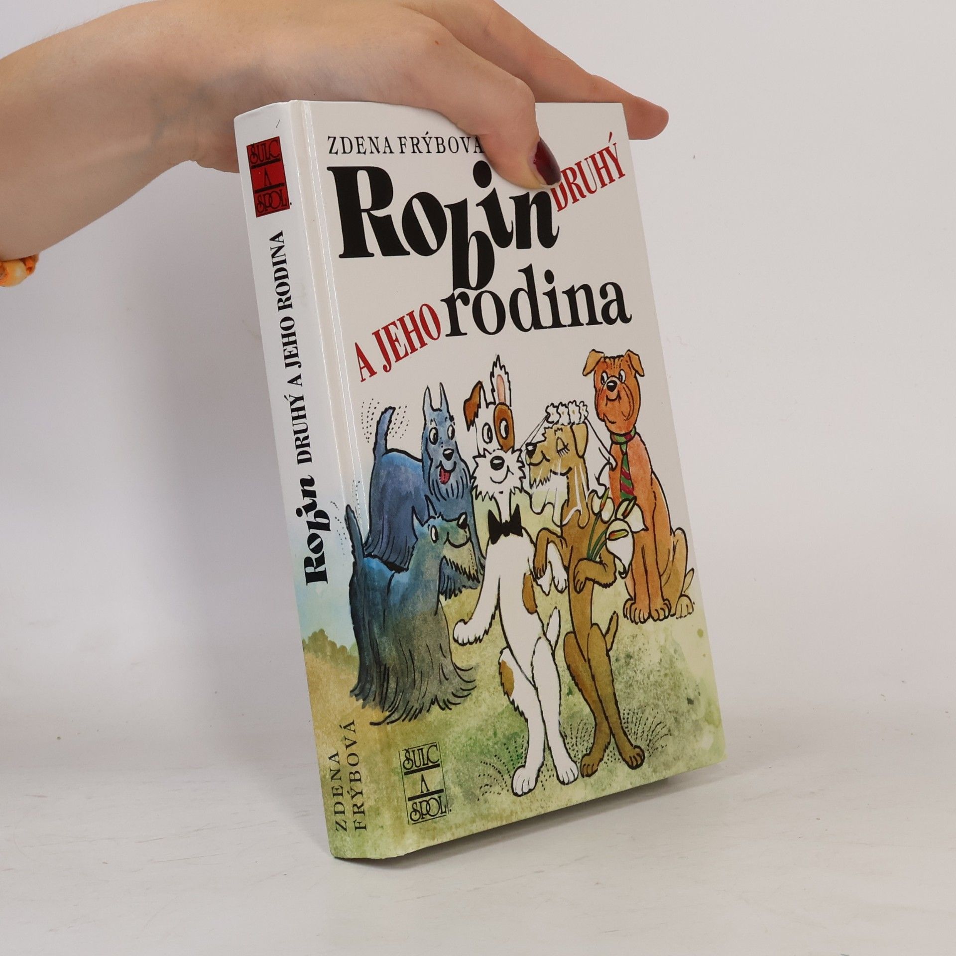 Zdena Frýbová Robin Druhý a jeho rodina