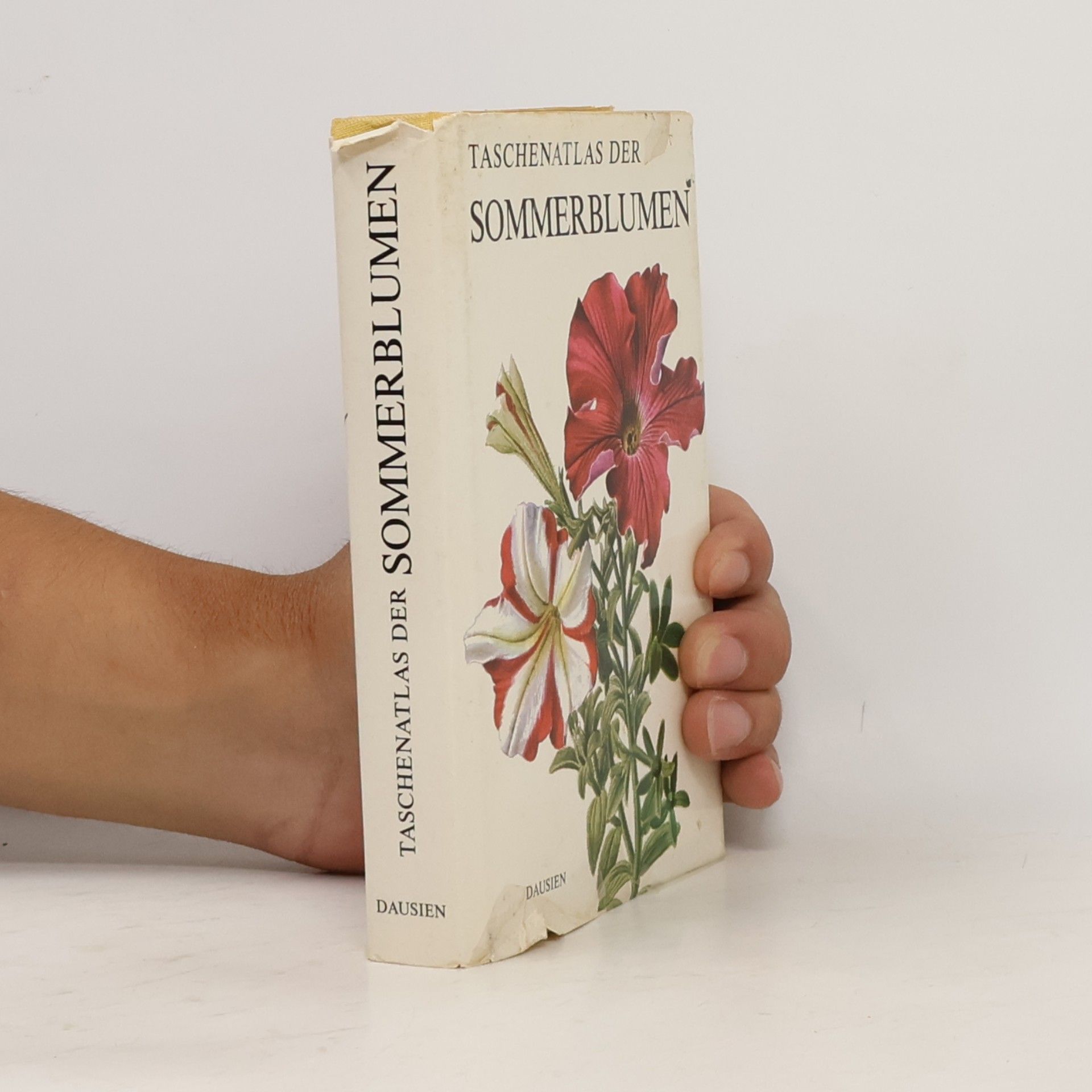 Jarmila Průchová Taschenatlas der Sommerblumen