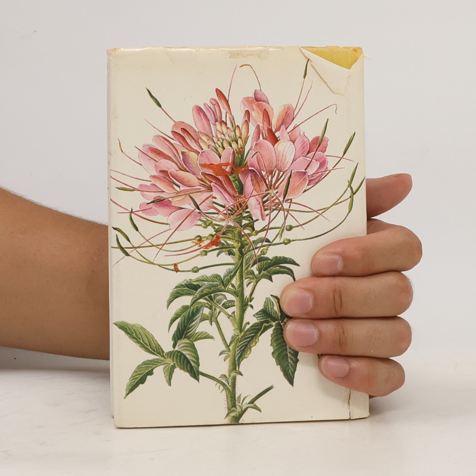 František Severa Taschenatlas der Sommerblumen
