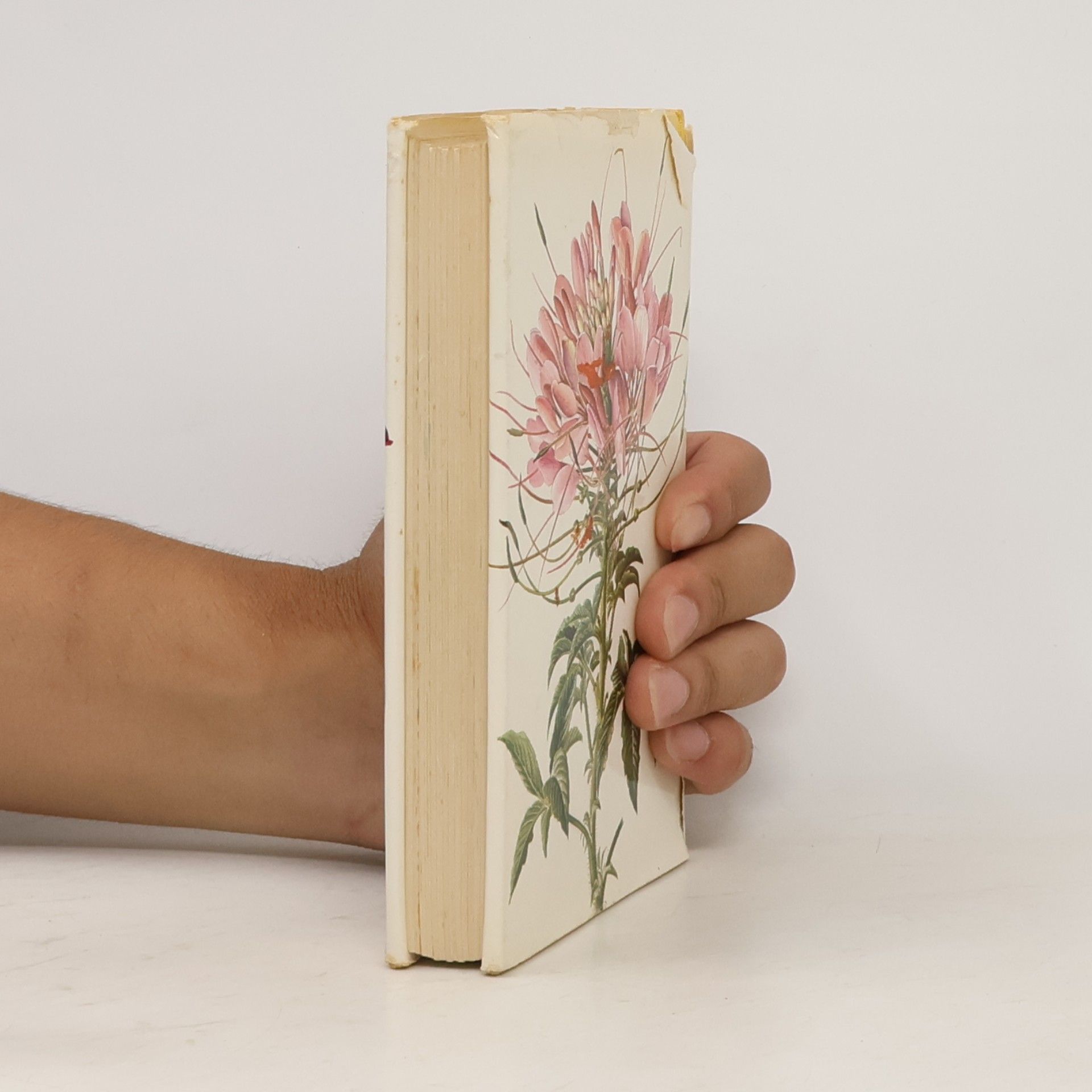 František Severa Taschenatlas der Sommerblumen