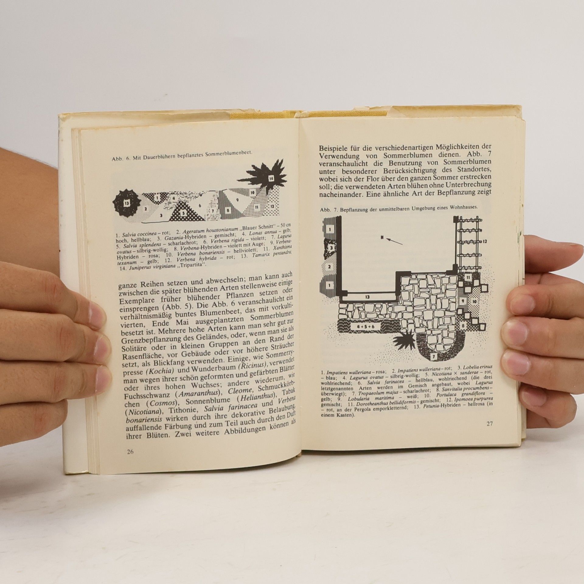 František Severa Taschenatlas der Sommerblumen