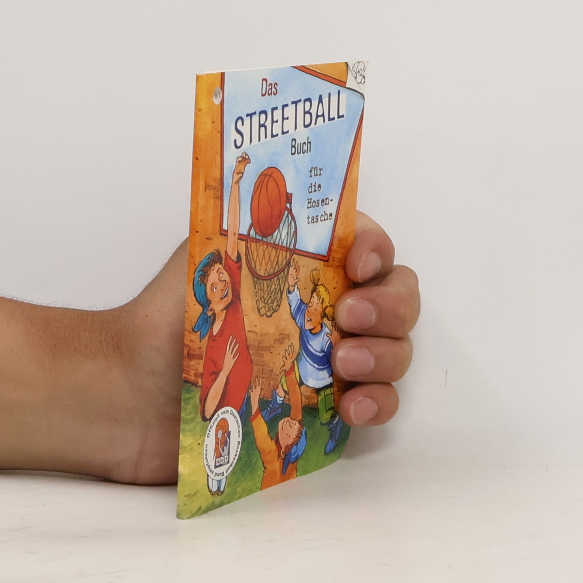 Das Streetball-Buch für die Hosentasche