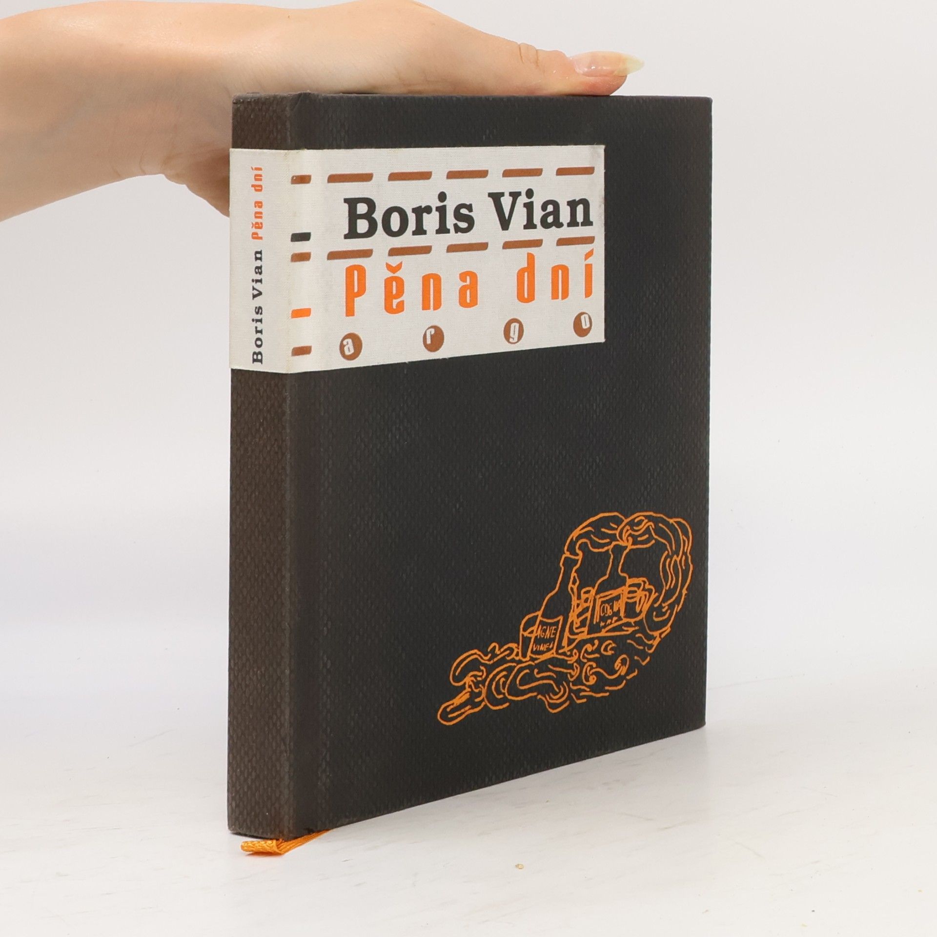 Boris Vian Pěna dní