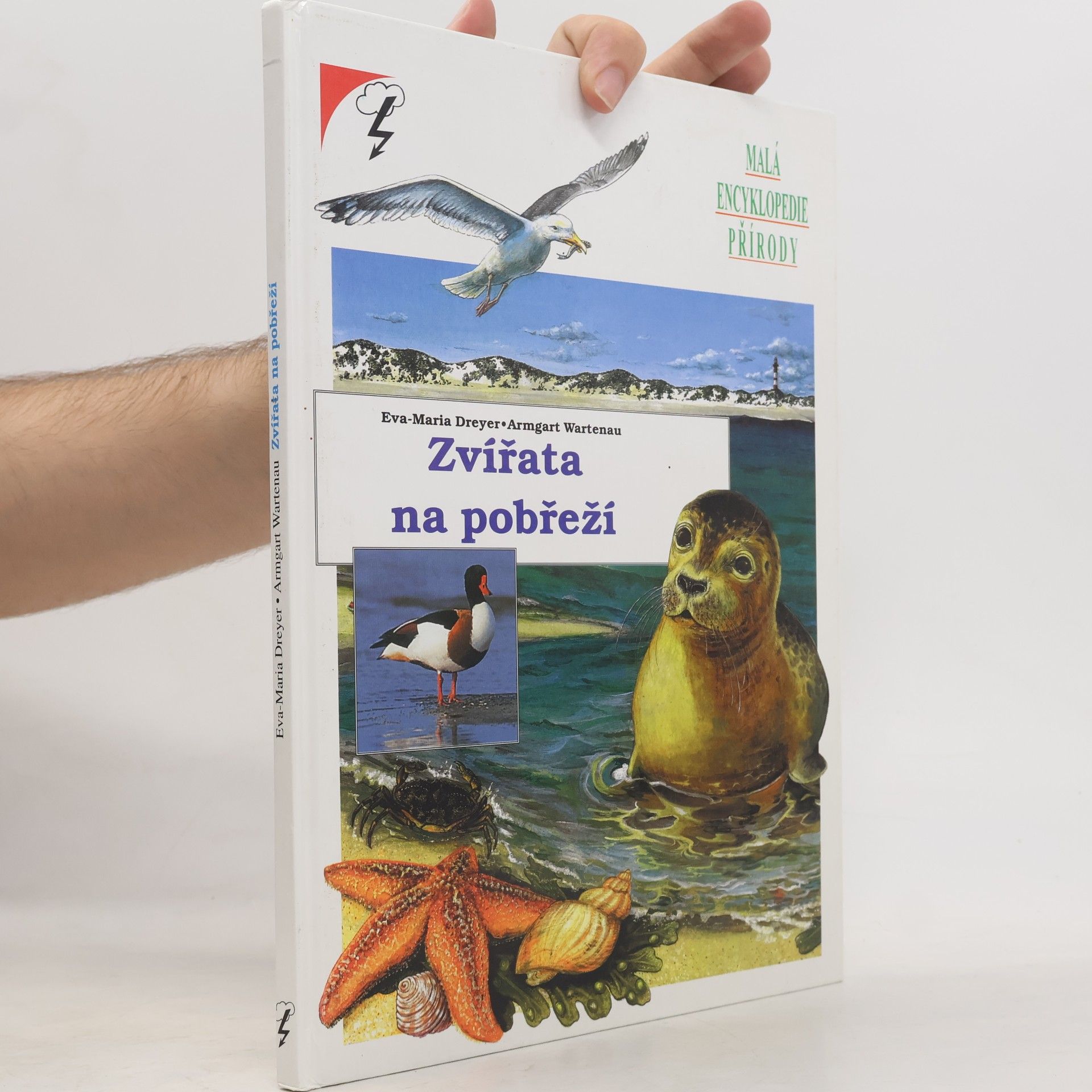 Eva-Maria Dreyer Zvířata na pobřeží