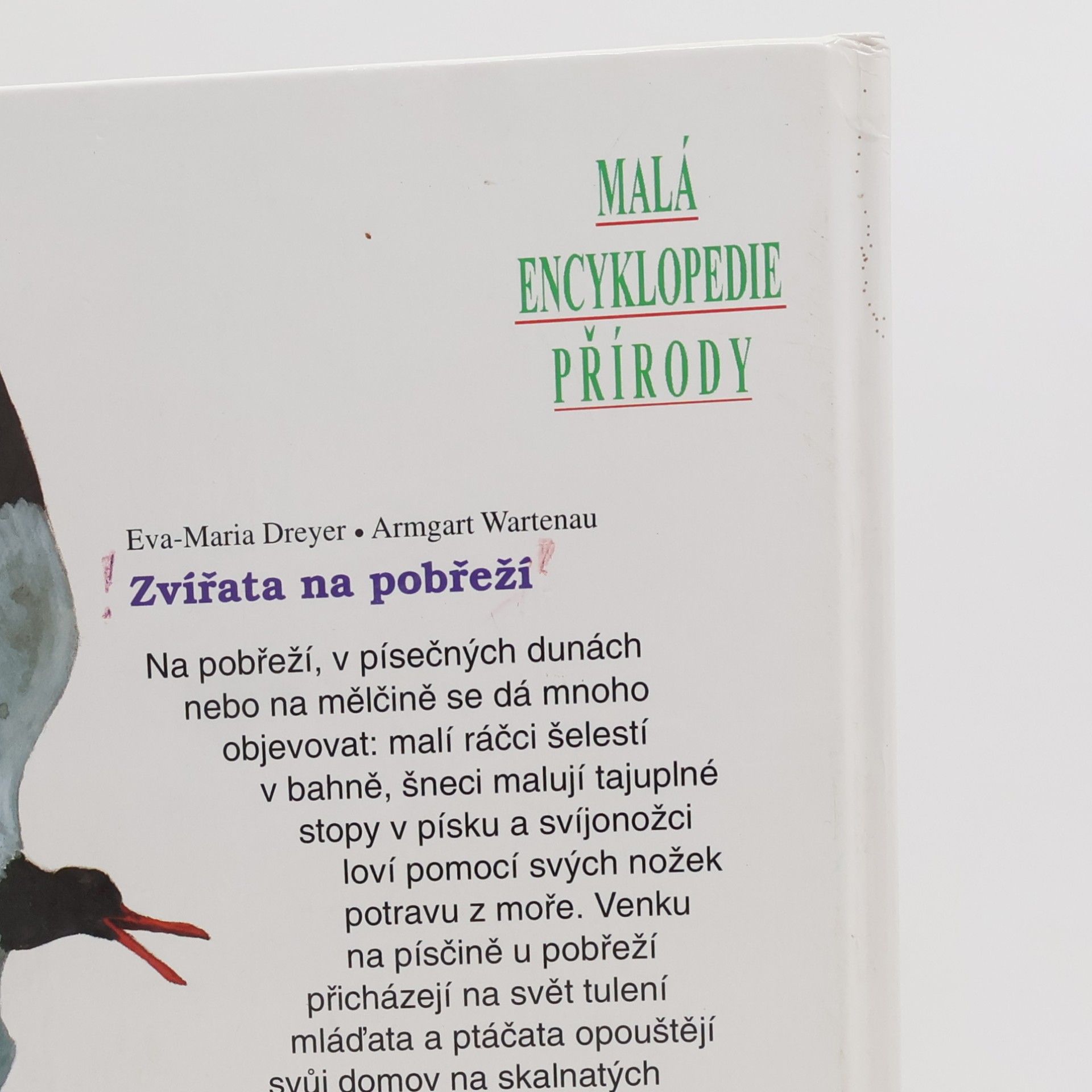 Eva-Maria Dreyer Zvířata na pobřeží