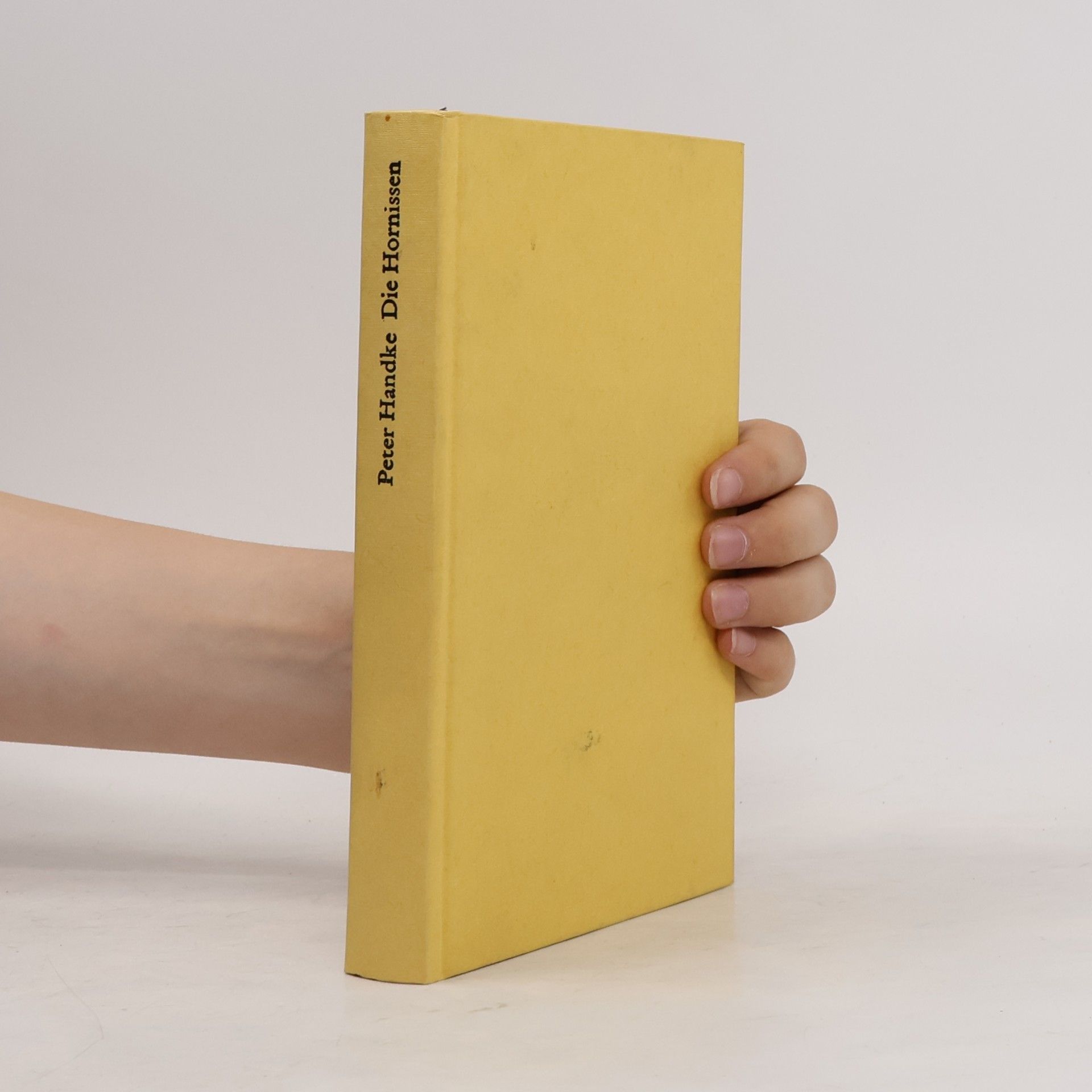 Peter Handke Die Hornissen