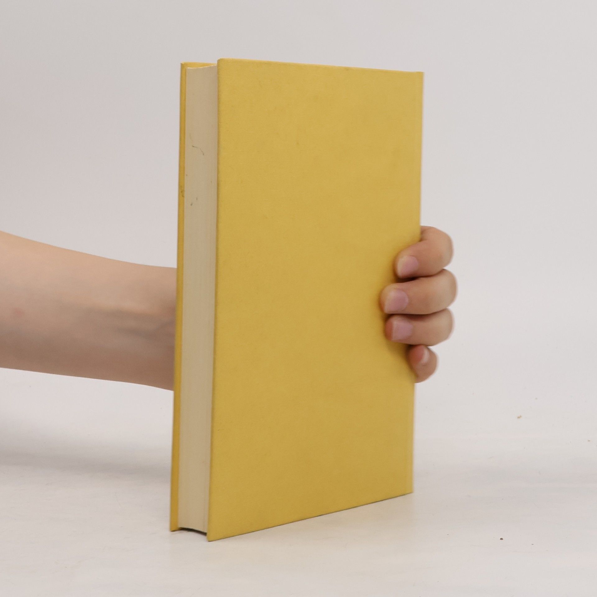 Peter Handke Die Hornissen